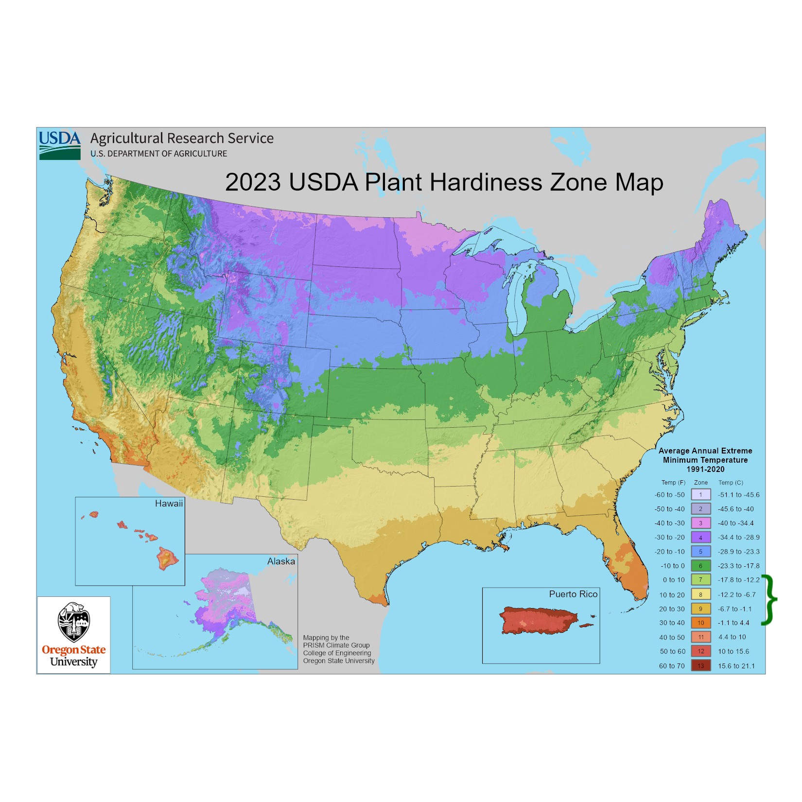 slide 4 of 4, Lowe's Chaste Tree Flowering Shrub in 6.08 -Gallon Pot 1 -Pack with Multicolor Blooms, 1 ct