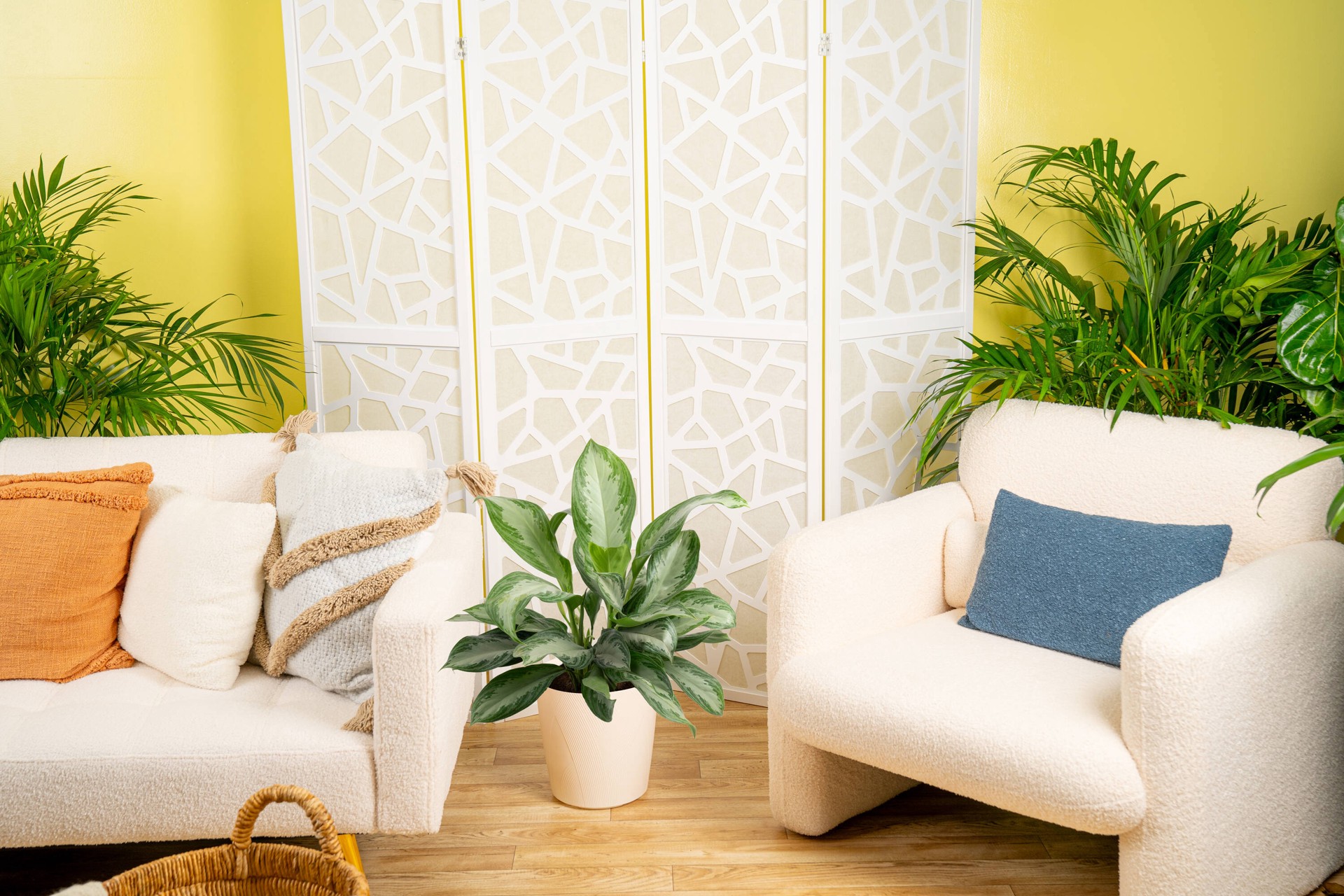 slide 4 of 6, Lowe's Aglaonema House plant in 1.72 Gallon(s) Planter 1 -Pack, 1 ct