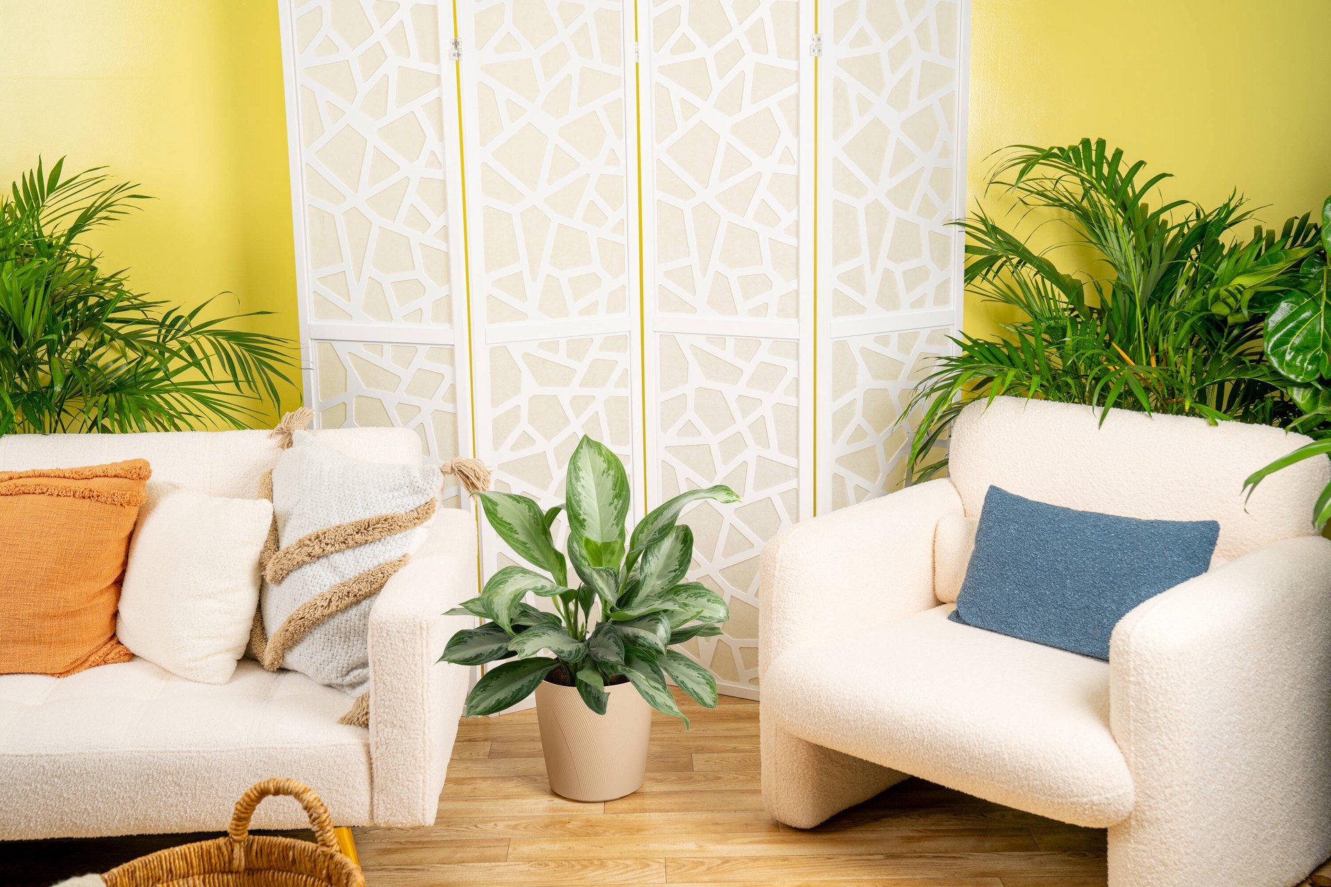 slide 6 of 6, Lowe's Aglaonema House plant in 1.72 Gallon(s) Planter 1 -Pack, 1 ct