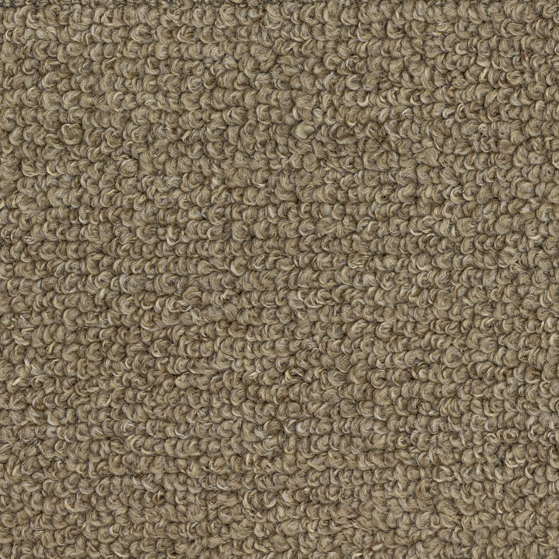 slide 4 of 6, Style Selections 2 x 6 (ft) Tufted Polyester Mushroom Rectangular Indoor Border Rustic Machine washable Runner rug, 1 ct