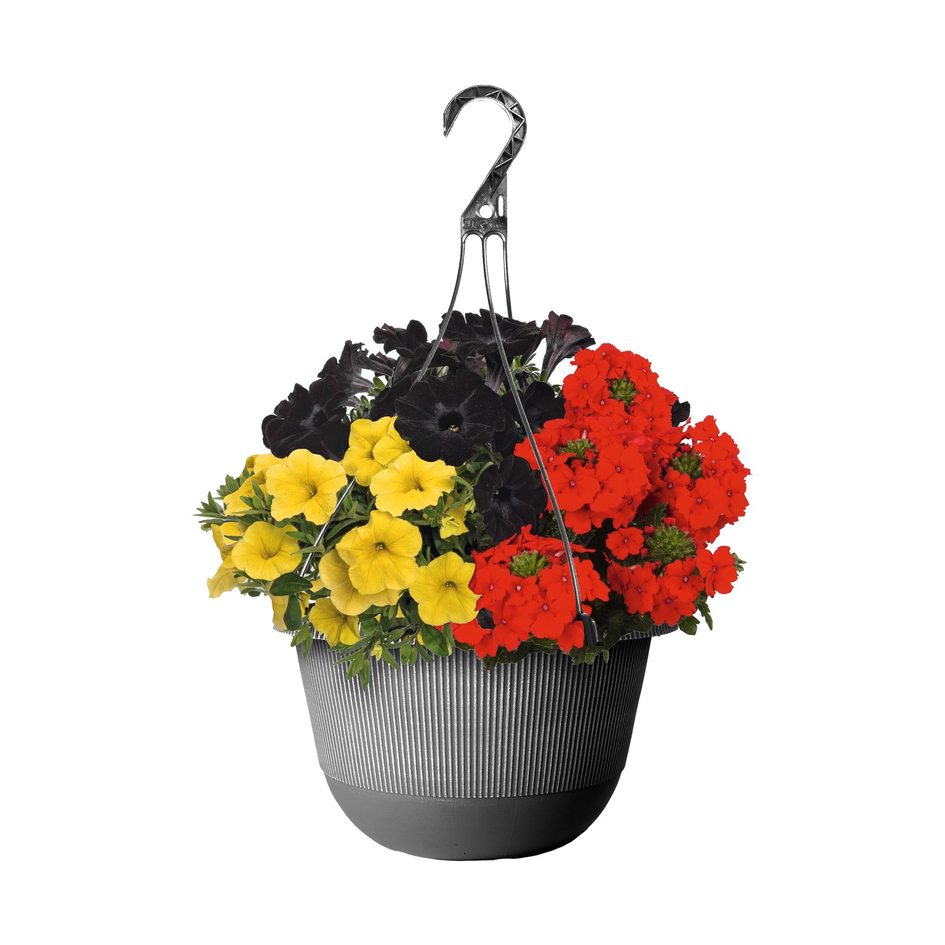 slide 1 of 2, Lowe's Multicolor Confetti Garden Octoberfest in 2-Gallon Hanging Basket, 1 ct