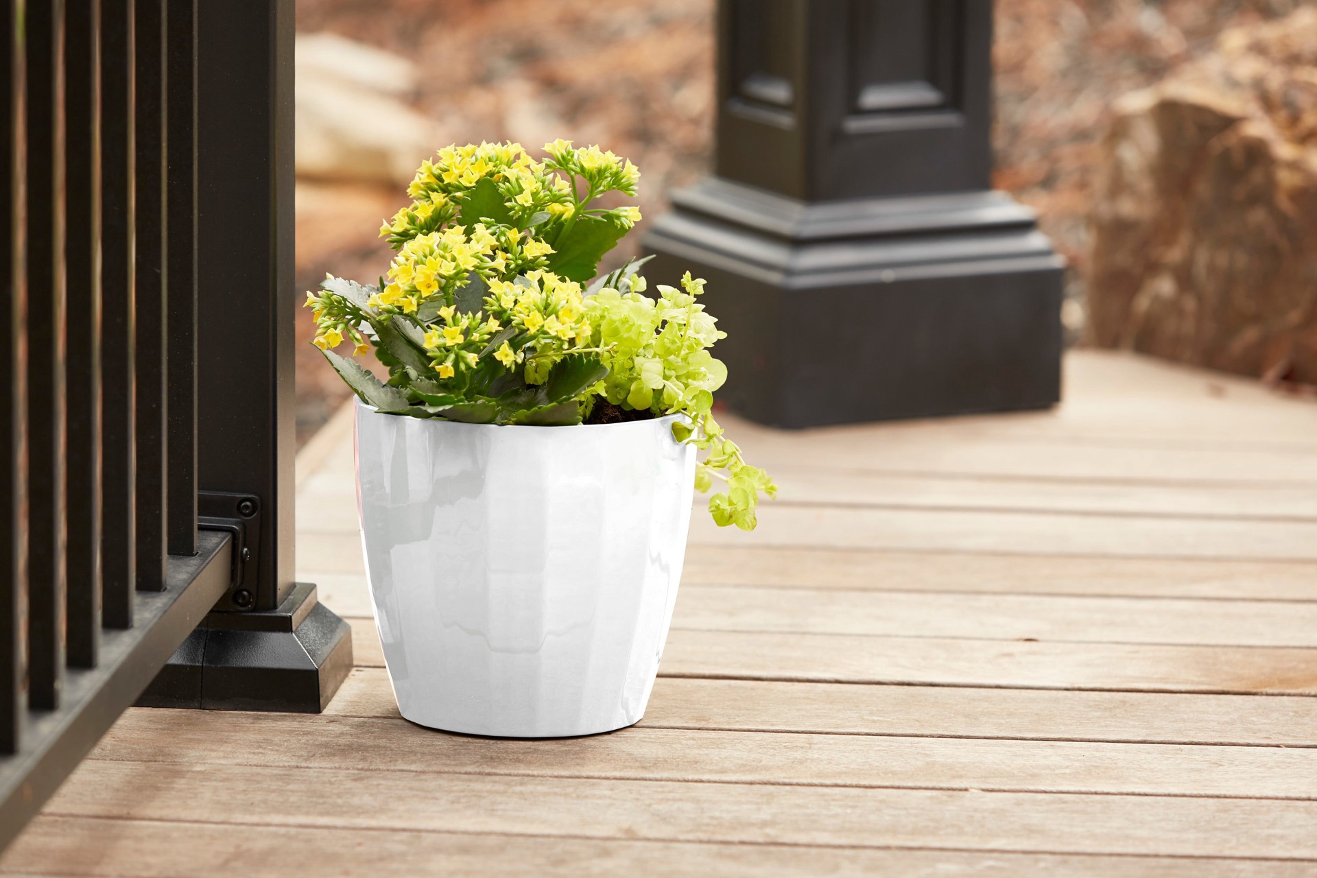 slide 6 of 6, Ready Refill Round 7.7-in W x 7.7-in L White Resin Indoor/Outdoor Planter, 1 ct