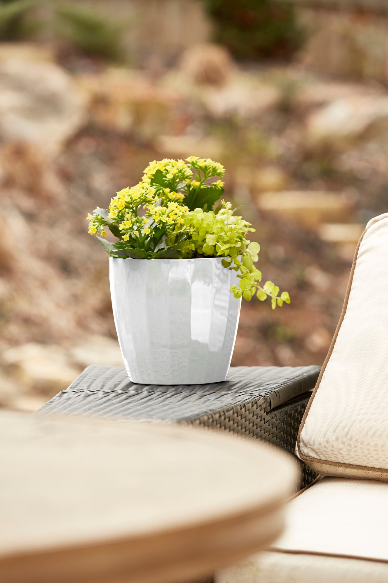 slide 3 of 6, Ready Refill Round 7.7-in W x 7.7-in L White Resin Indoor/Outdoor Planter, 1 ct