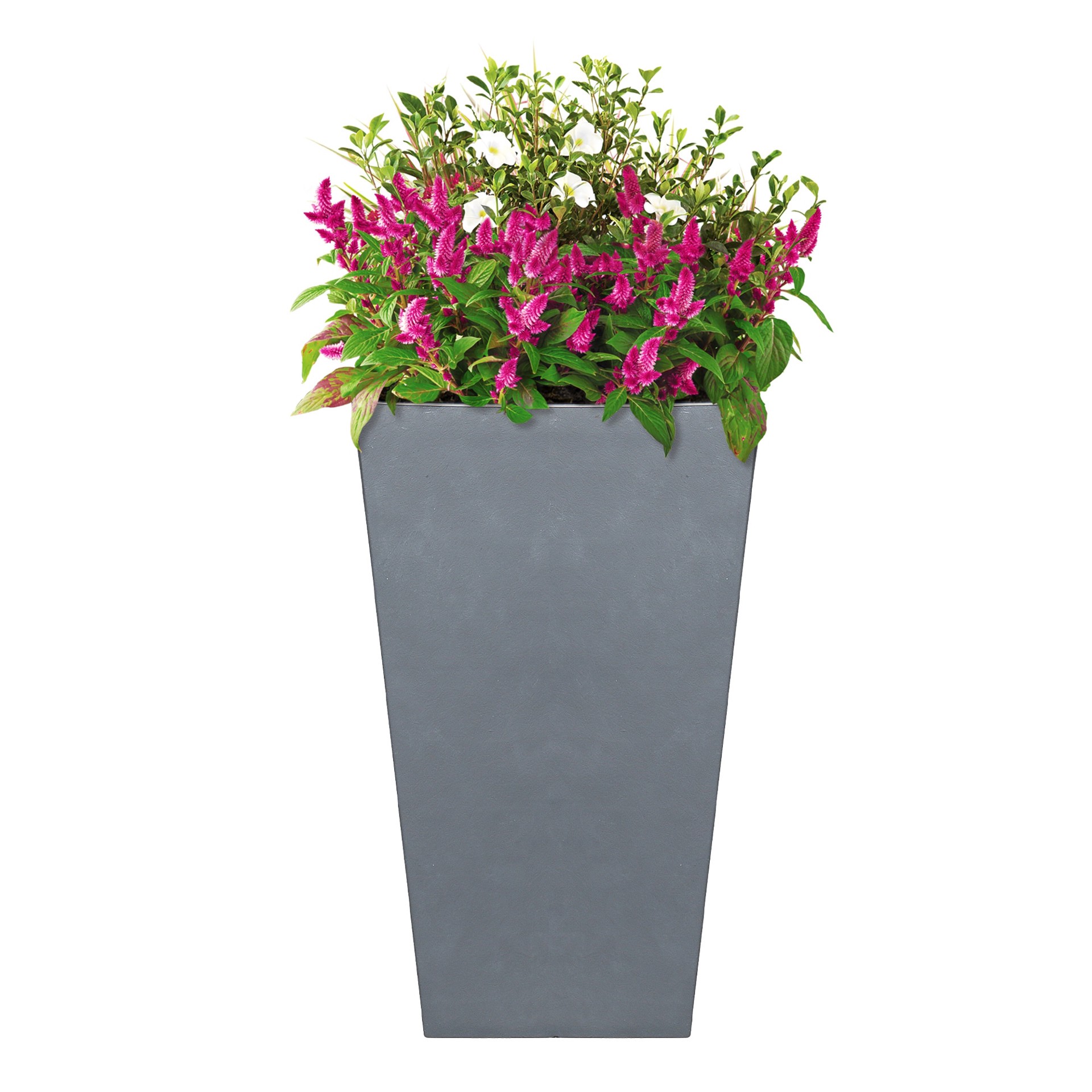 slide 3 of 6, allen + roth Square 11.3-in W x 11.3-in L Gray Resin Indoor/Outdoor Planter, 1 ct