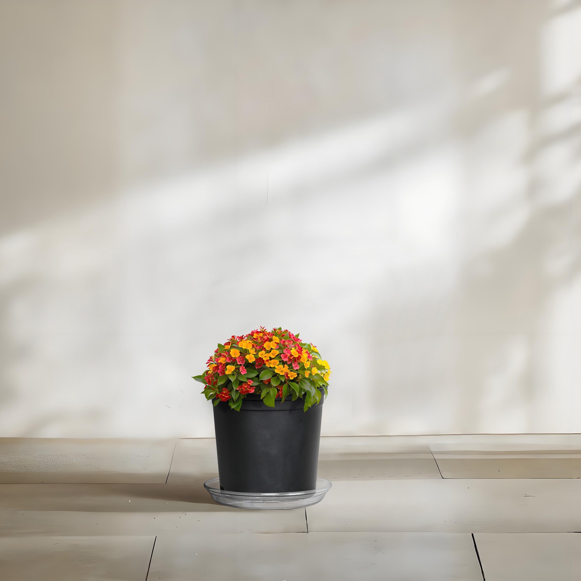 slide 1 of 6, allen + roth 9.65-in Translucent Plastic Plant Saucer, 1 ct