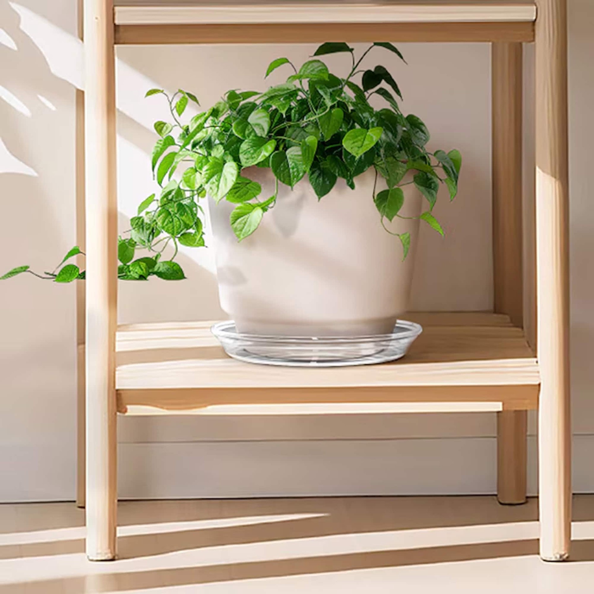 slide 3 of 6, allen + roth 9.65-in Translucent Plastic Plant Saucer, 1 ct