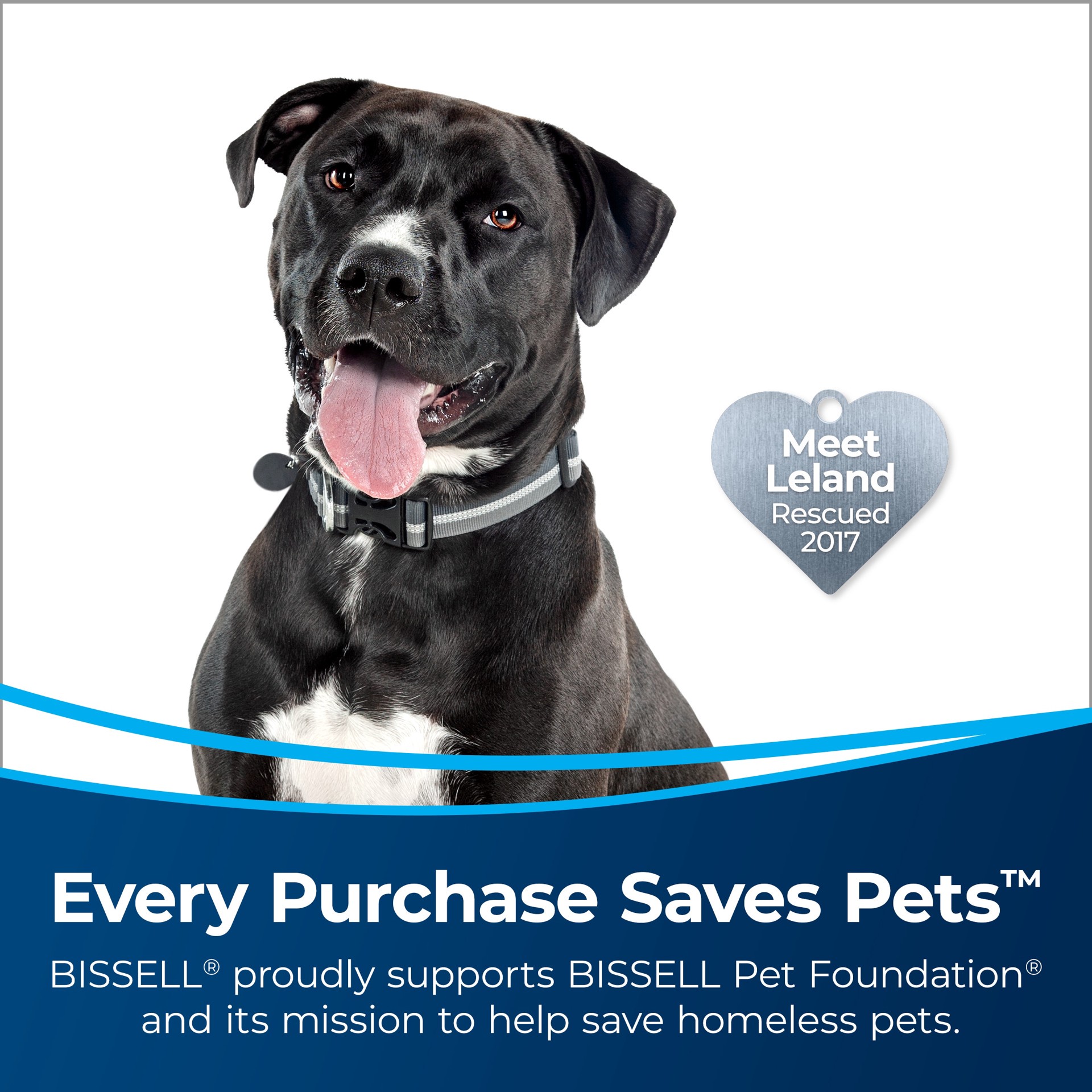 slide 2 of 6, BISSELL MultiClean Allergen Bagless Pet Upright Vacuum Cleaner with HEPA Filter, 1 ct