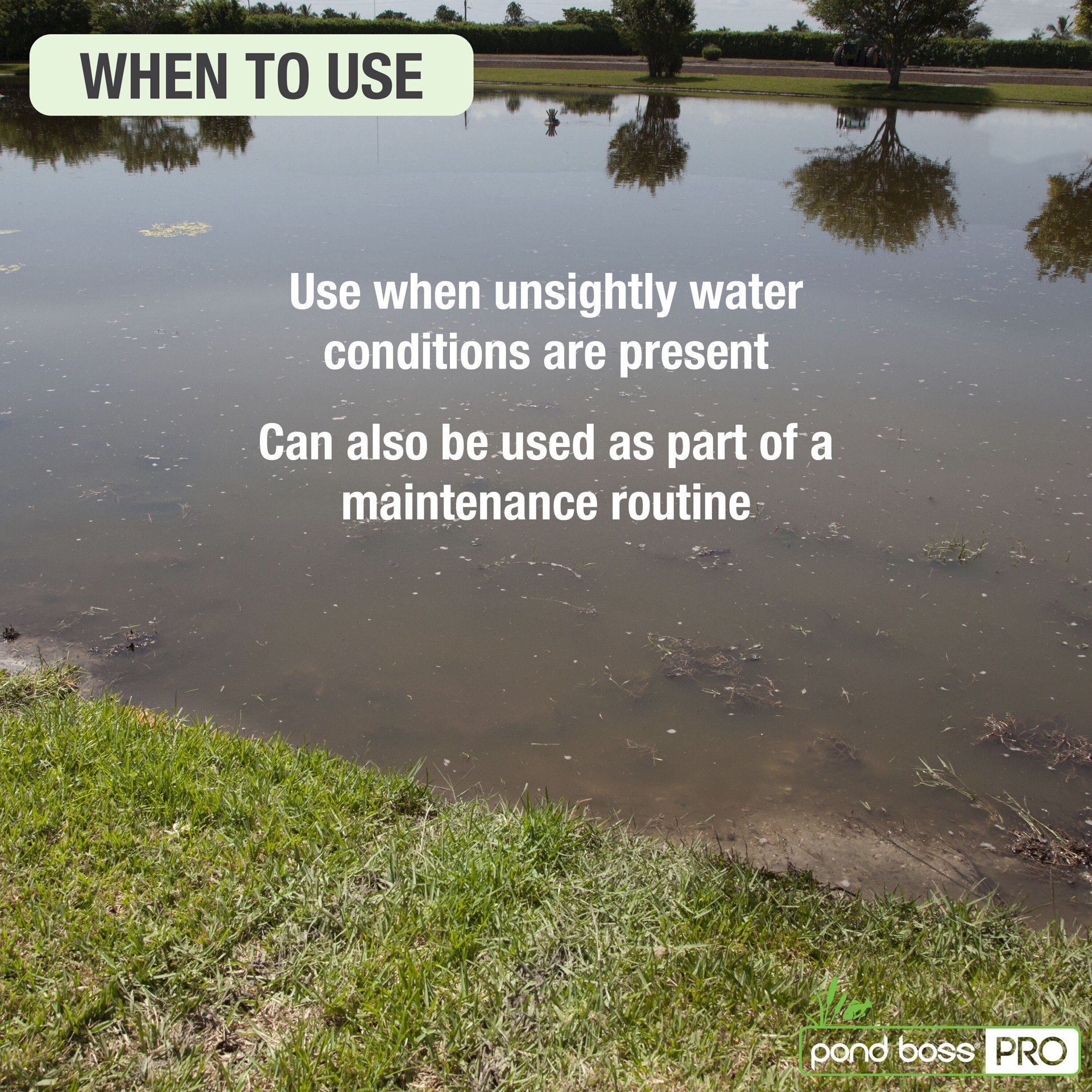 slide 3 of 6, pond boss Water Clarifier, 1 gallon Pond Liquid Water clarifier 1 Gallon(s), 1 ct