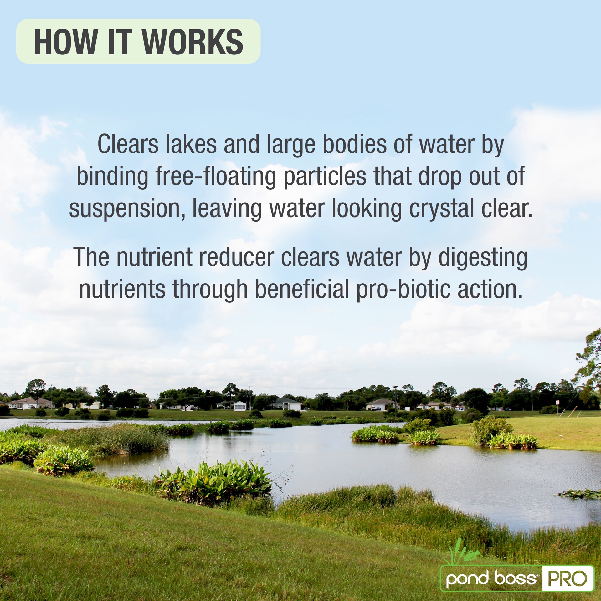 slide 6 of 6, pond boss Water Clarifier, 1 gallon Pond Liquid Water clarifier 1 Gallon(s), 1 ct