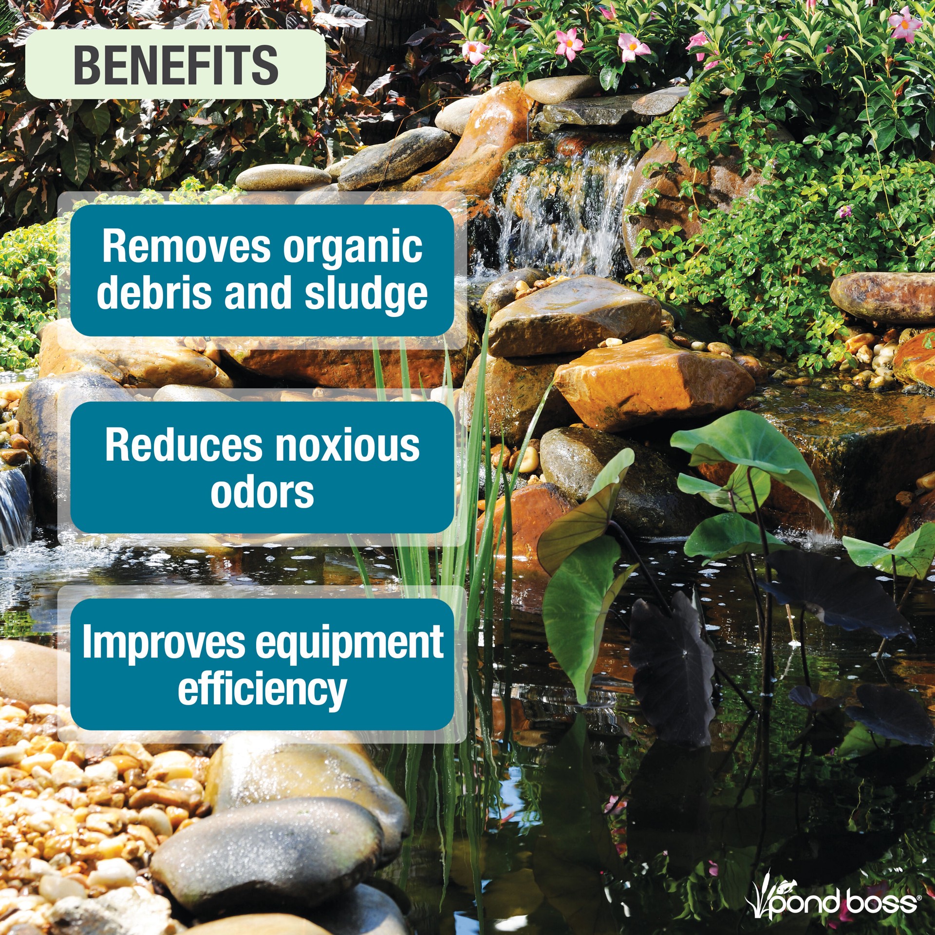 slide 2 of 6, pond boss Sludge Remover 64 oz Pond Liquid Sludge remover 64 Fluid ounce(s), 1 ct