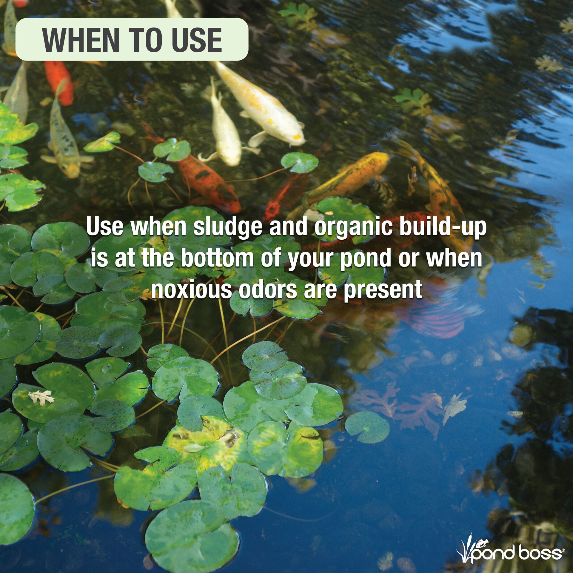 slide 3 of 6, pond boss Sludge Remover 64 oz Pond Liquid Sludge remover 64 Fluid ounce(s), 1 ct