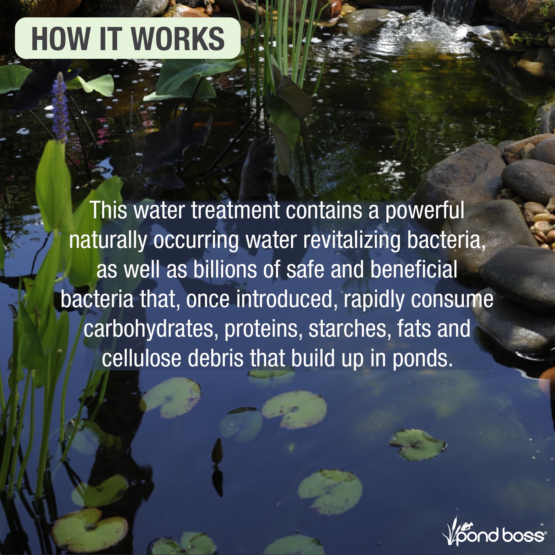 slide 4 of 6, pond boss Sludge Remover 64 oz Pond Liquid Sludge remover 64 Fluid ounce(s), 1 ct