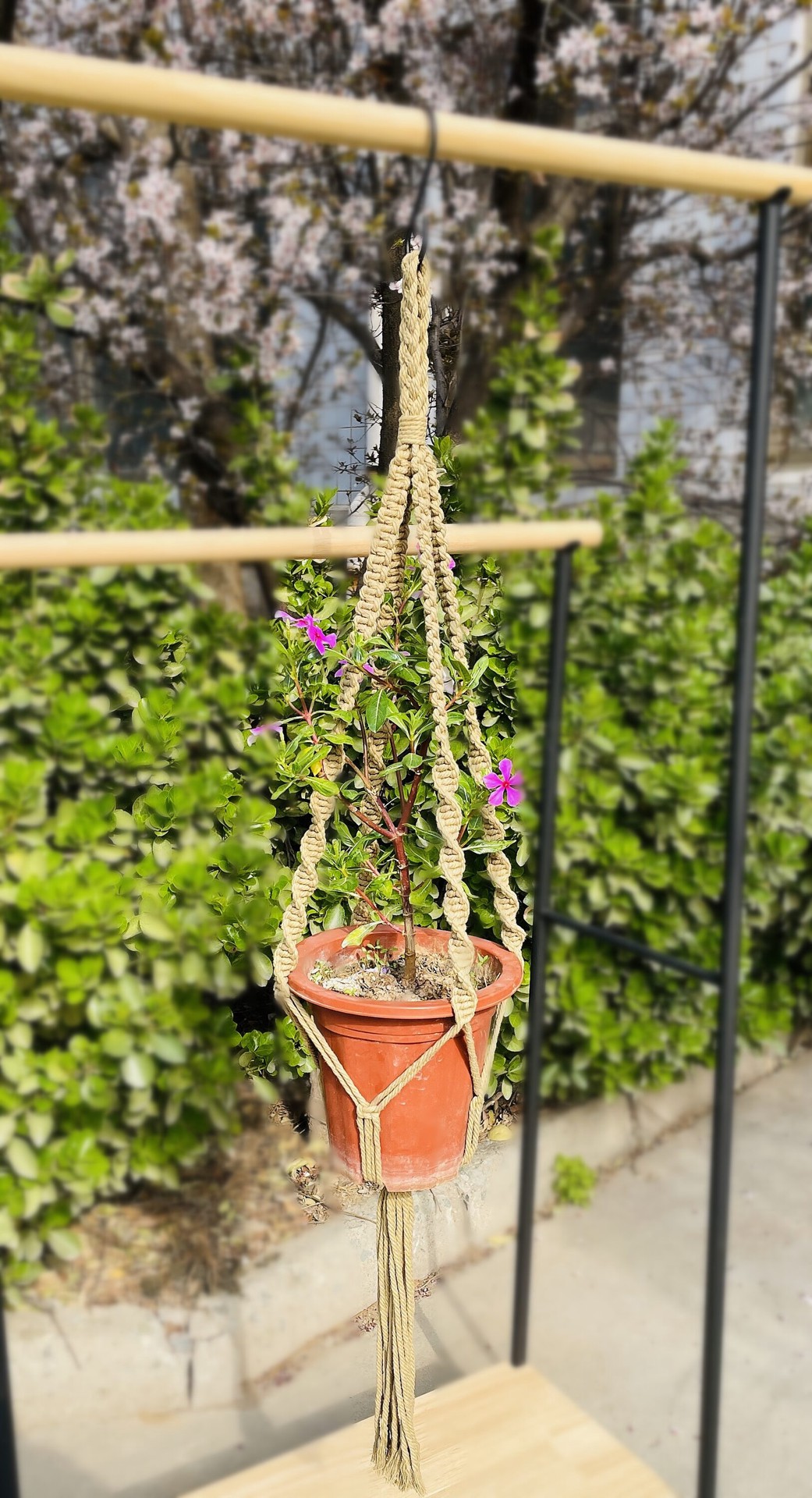 slide 6 of 6, allen + roth 43-in Brown Macrame Plant hook(s), 1 ct