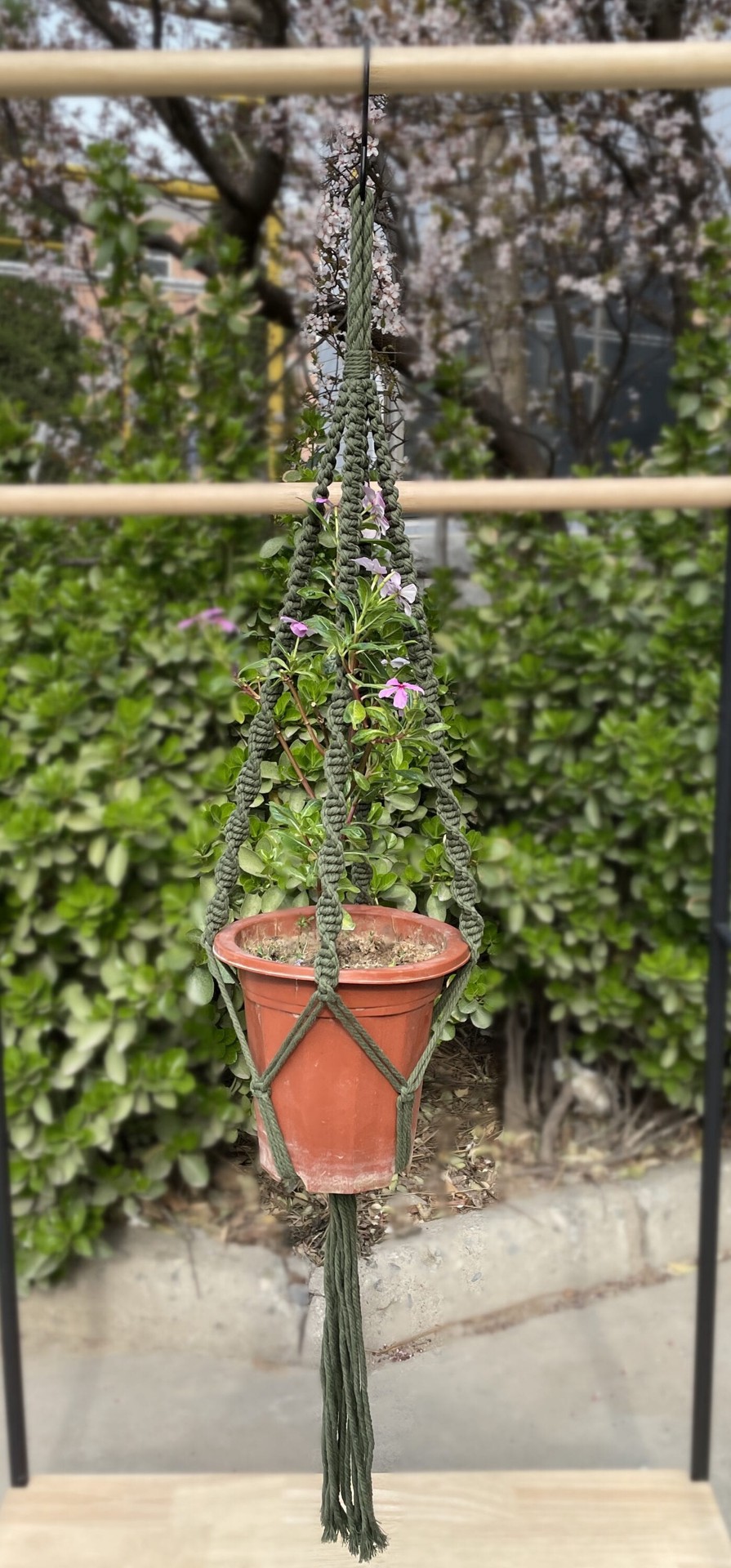 slide 3 of 6, allen + roth 43-in Green Macrame Plant hook(s), 1 ct