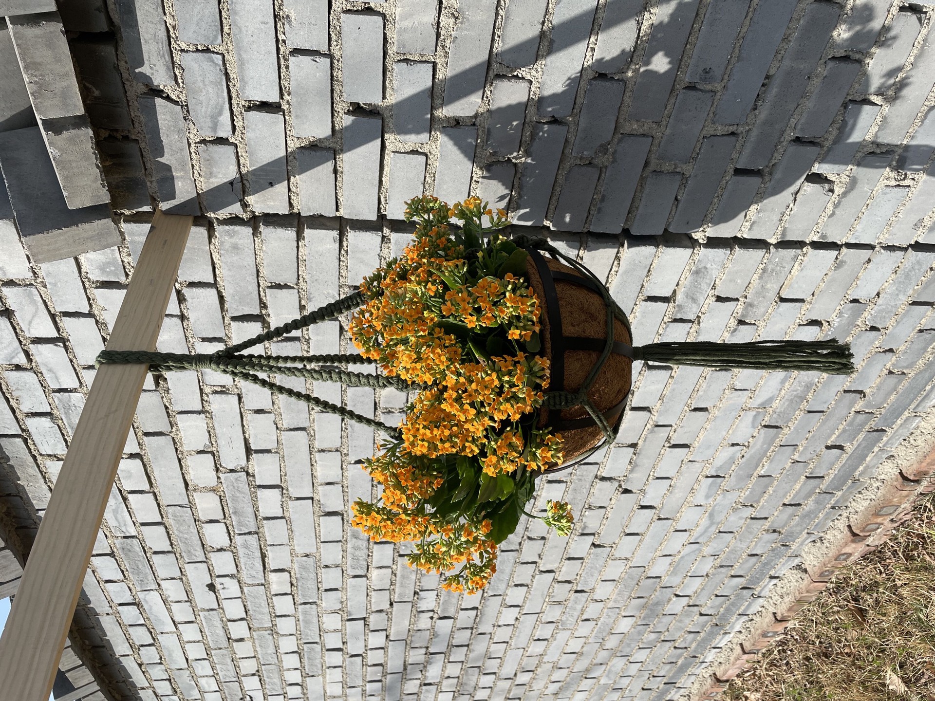 slide 5 of 6, allen + roth 43-in Green Macrame Plant hook(s), 1 ct