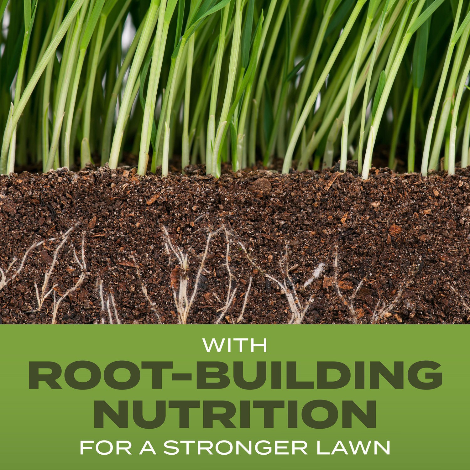 slide 3 of 6, Scotts Turf Builder 32-lb Tall Fescue Grass Seed, 1 ct