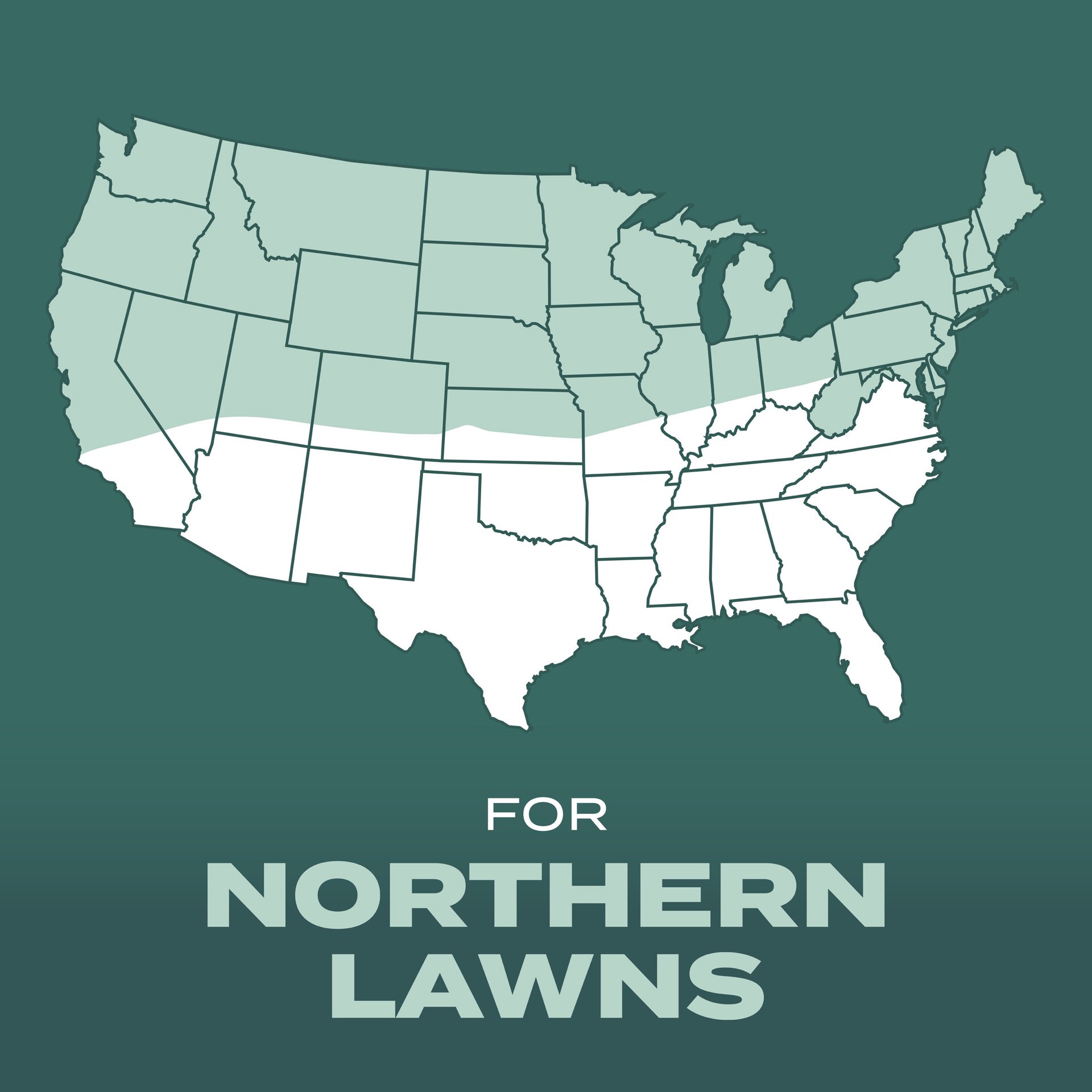 slide 2 of 6, Scotts Turf Builder Dense Shade Mix 5.6-lb Mixture/Blend Grass Seed, 1 ct