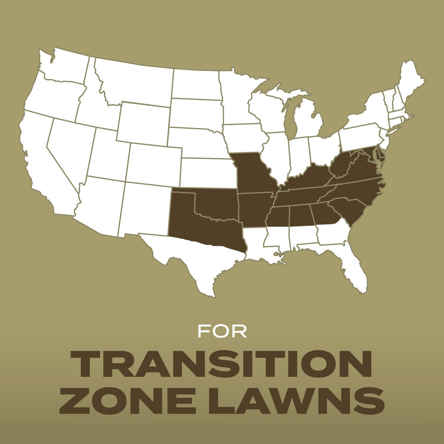 slide 2 of 6, Scotts Turf Builder Southern Gold 16-lb Tall Fescue Grass Seed, 1 ct