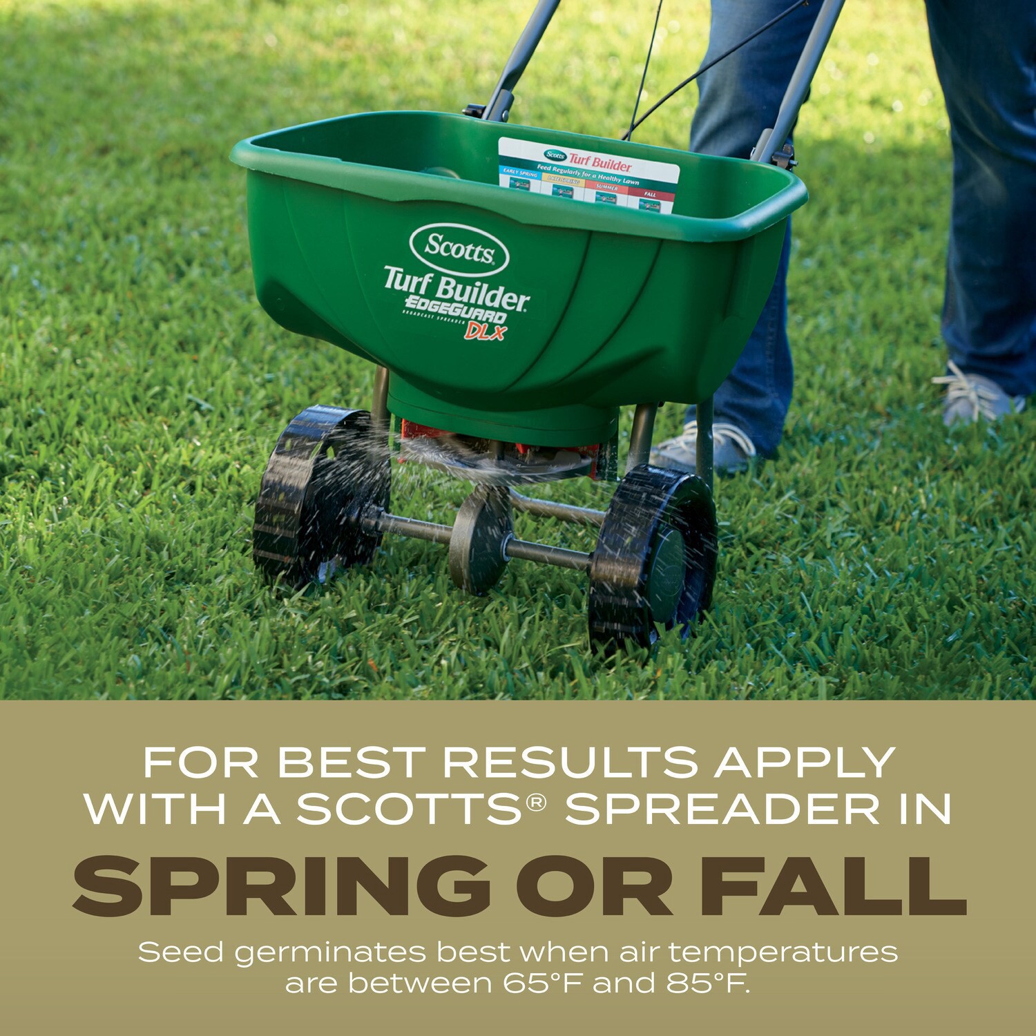 slide 6 of 6, Scotts Turf Builder Southern Gold 16-lb Tall Fescue Grass Seed, 1 ct