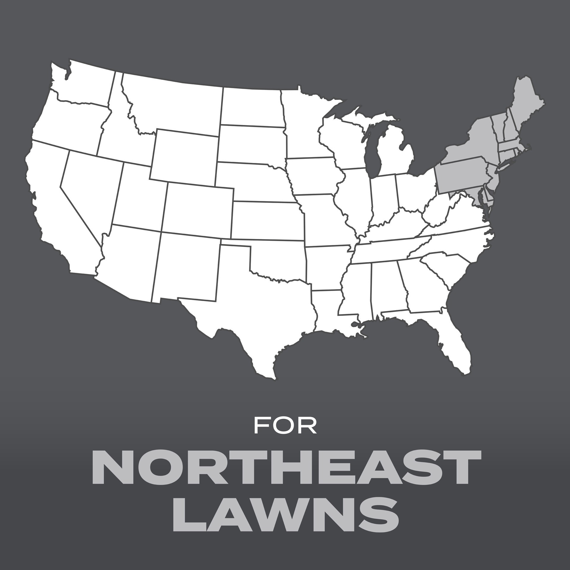 slide 2 of 6, Scotts Turf Builder Northeast Mix 16-lb Mixture/Blend Grass Seed, 1 ct