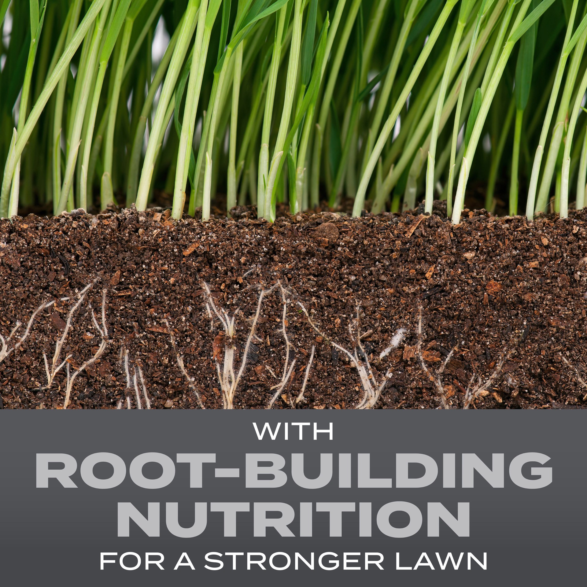 slide 3 of 6, Scotts Turf Builder Northeast Mix 16-lb Mixture/Blend Grass Seed, 1 ct