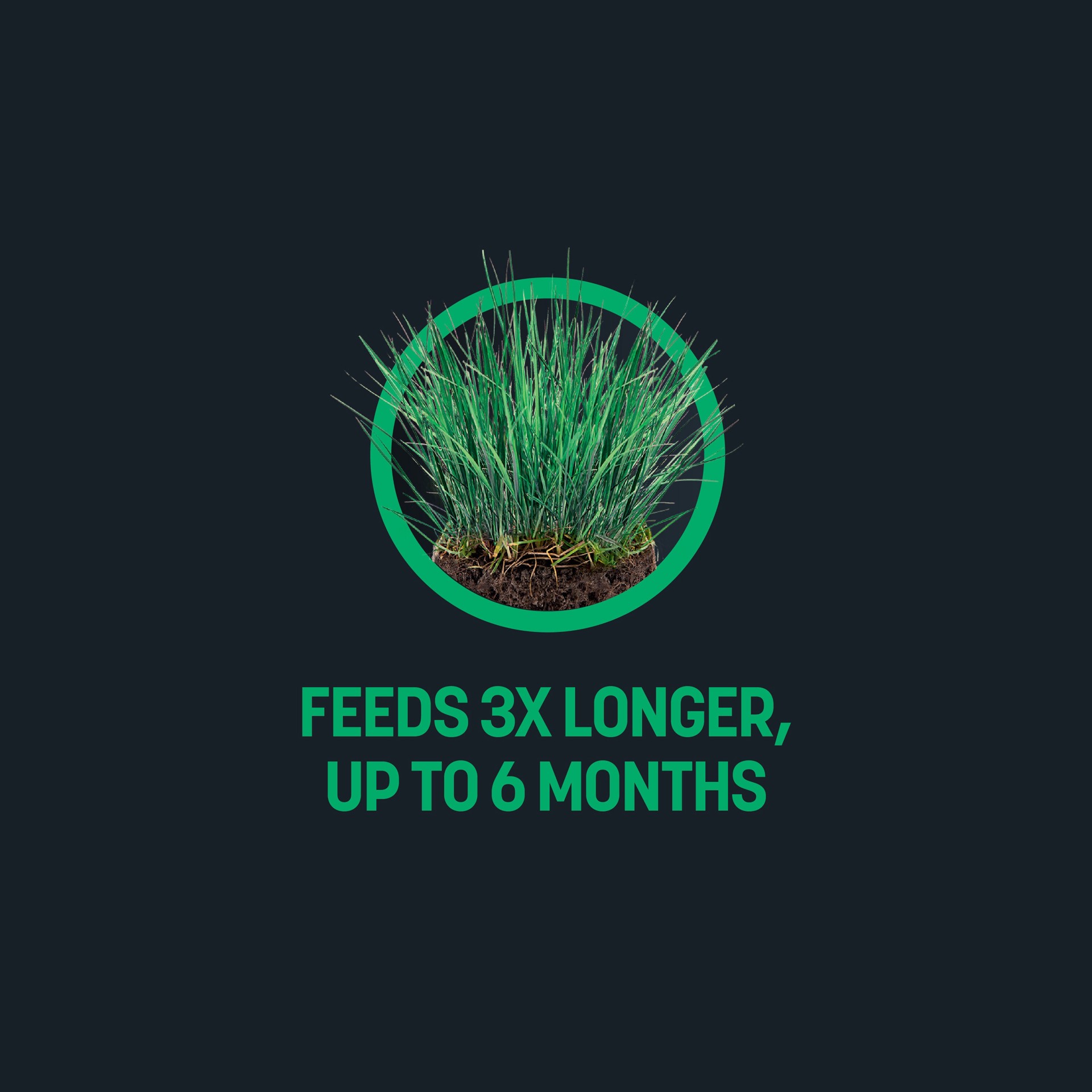 slide 3 of 6, Sta-Green Performance Max 43.2-lb 14400-sq ft 30-0-3 All Purpose Lawn Fertilizer, 1 ct