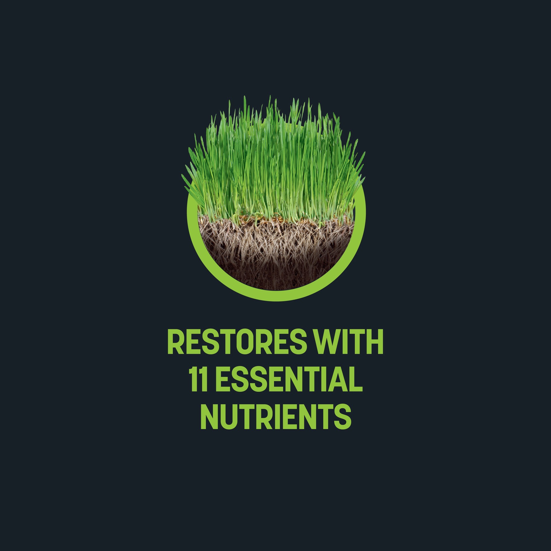 slide 6 of 6, Sta-Green Performance Max 43.2-lb 14400-sq ft 30-0-3 All Purpose Lawn Fertilizer, 1 ct