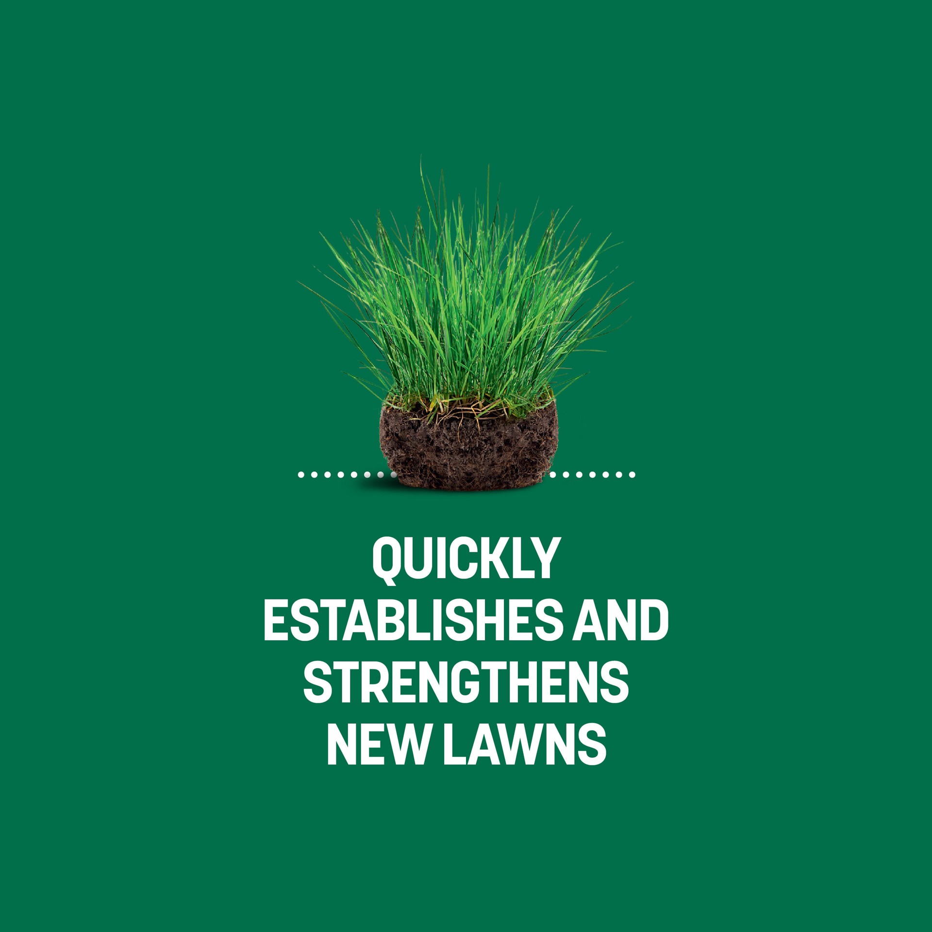 slide 6 of 6, Sta-Green Fertilizer plus Soil Conditioner 3.6-lb 1000-sq ft 18-24-8 Lawn Starter Fertilizer, 1 ct