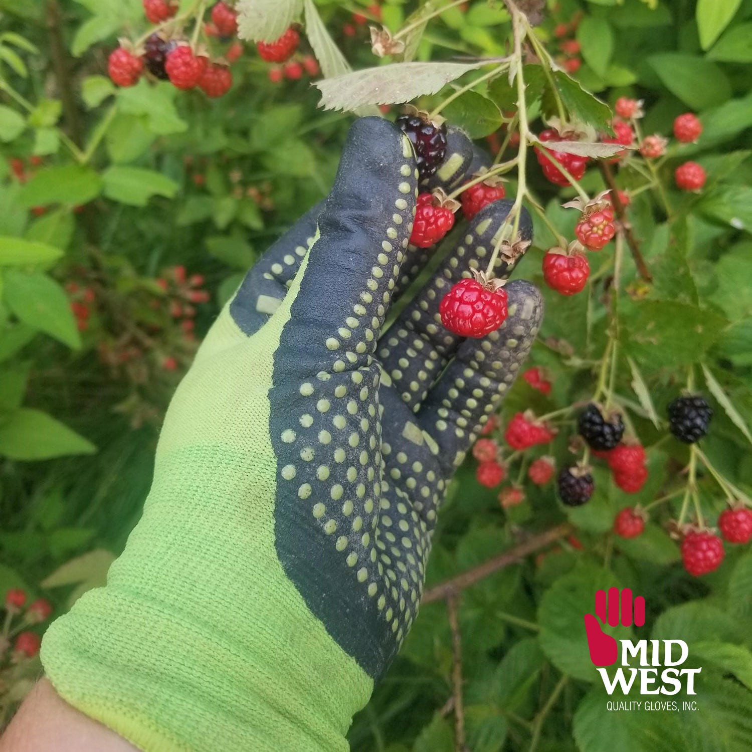 slide 4 of 6, MidWest Quality Gloves, Inc. Medium Green Nitrile dipped Nitrile Everyday Gloves 1 -Pairs, 1 ct