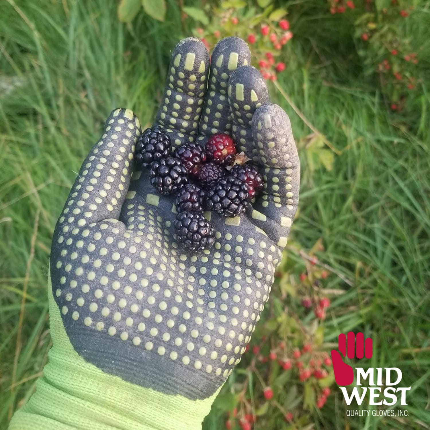 slide 5 of 6, MidWest Quality Gloves, Inc. Medium Green Nitrile dipped Nitrile Everyday Gloves 1 -Pairs, 1 ct