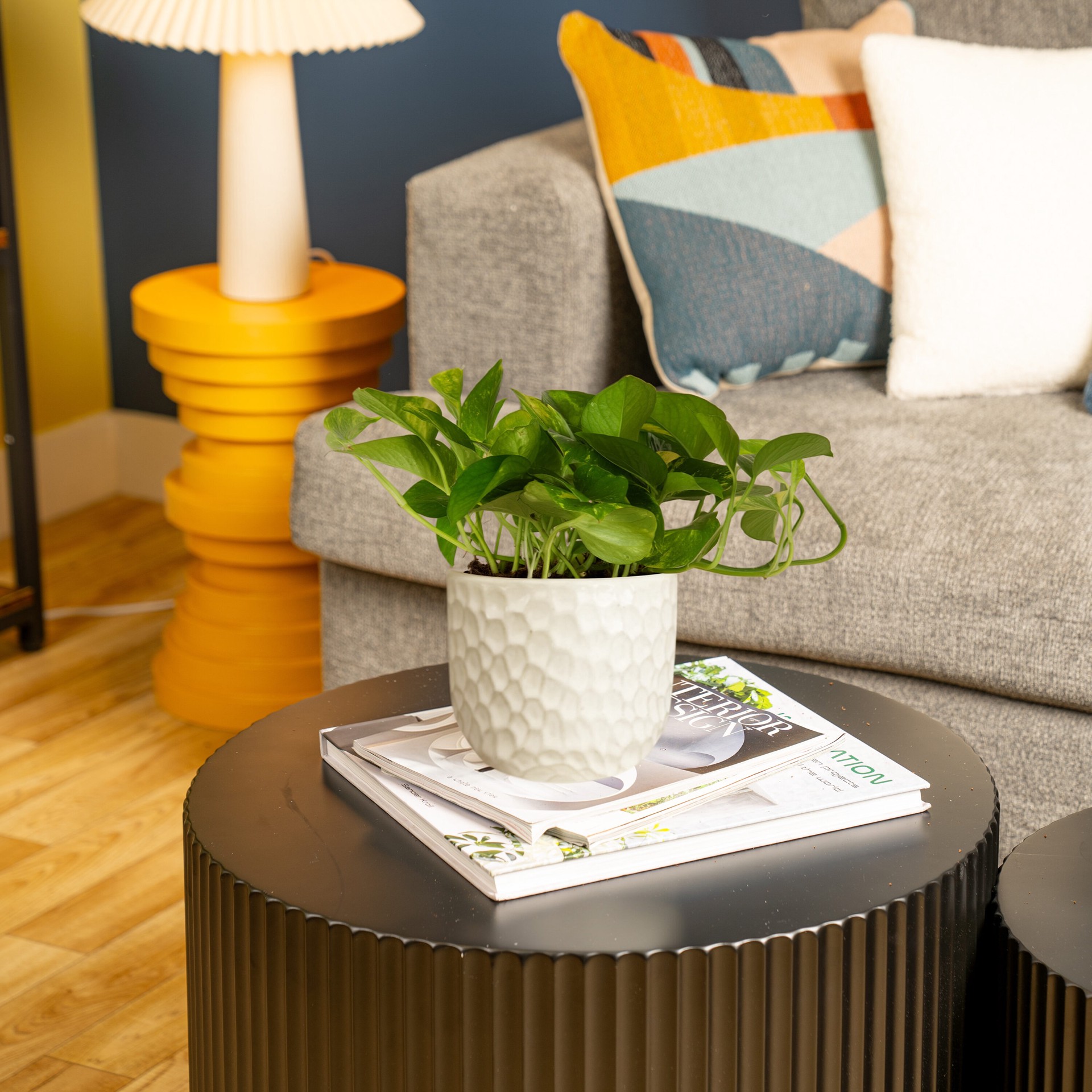 slide 4 of 6, Lowe's Pothos House plant in 1.4 Quart(s) Planter 1 -Pack, 1 ct