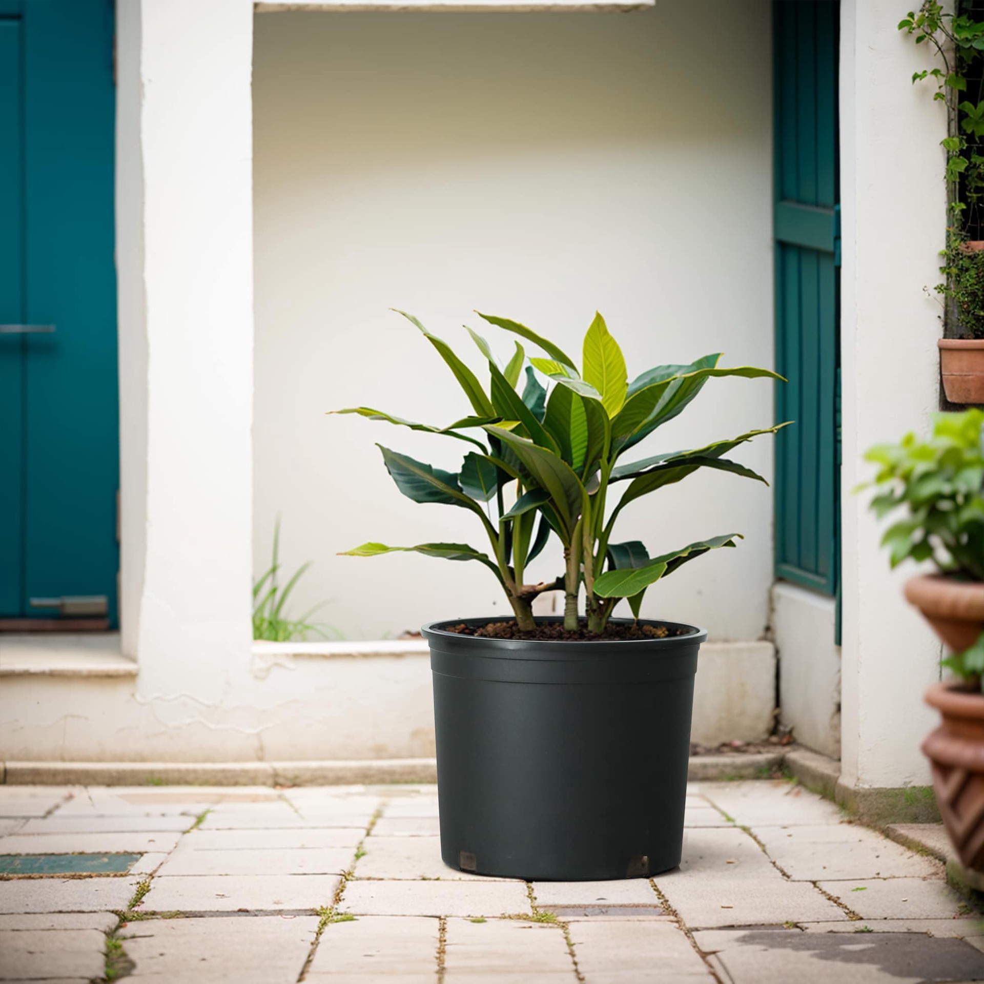 slide 2 of 6, Style Selections Round 9.72-in W x 9.72-in L Black Resin Indoor/Outdoor Planter, 1 ct