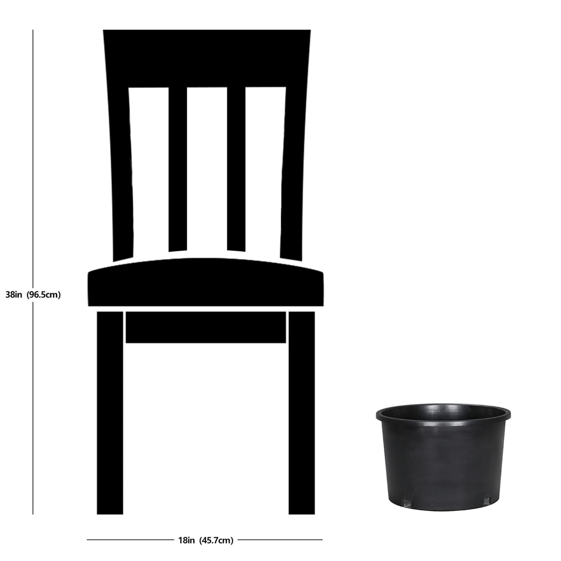 slide 6 of 6, Style Selections Round 12.36-in W x 12.36-in L Black Resin Indoor/Outdoor Planter, 1 ct