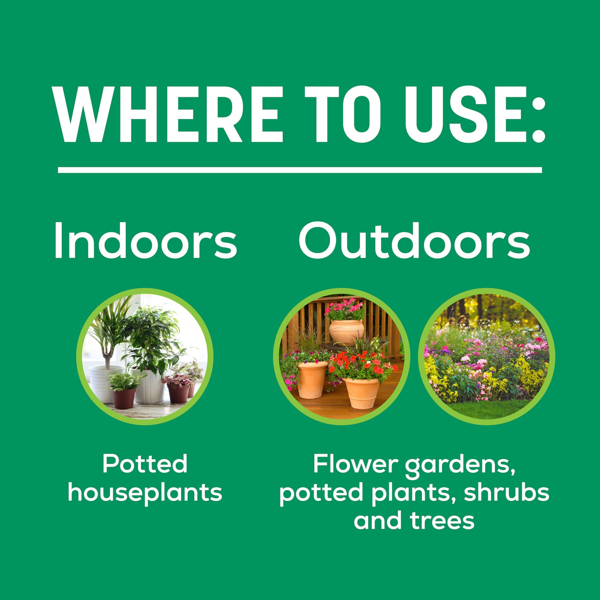 slide 4 of 6, Sta-Green Indoor and Outdoor 2-lb 19-6-12 All-purpose Food, 1 ct