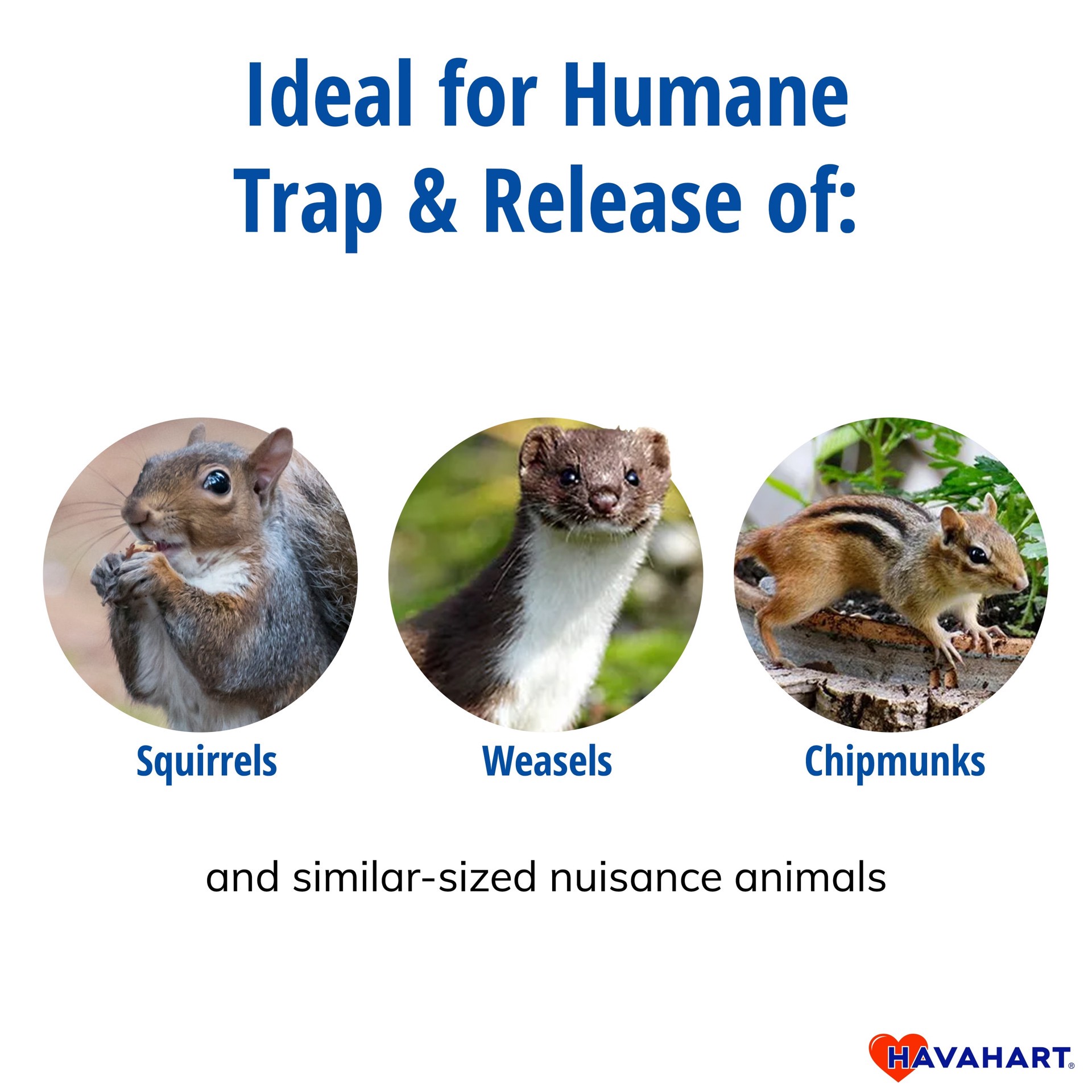 slide 2 of 6, Havahart Traps, 1 ct