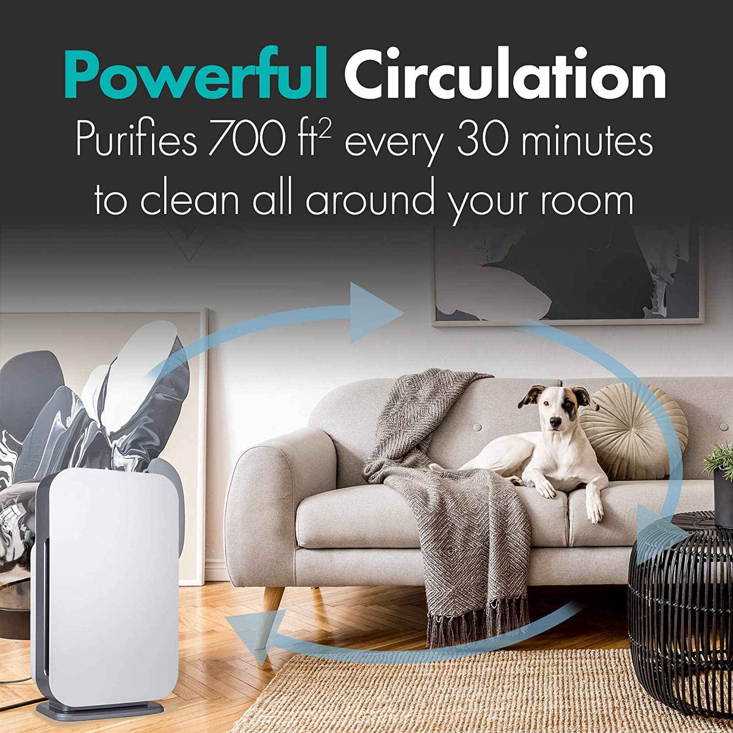 slide 3 of 6, Alen BreatheSmart FLEX Pure 4 -Speed Ionic White HEPA Air Purifier ENERGY STAR Certified (Covers: 700-sq ft ), 1 ct