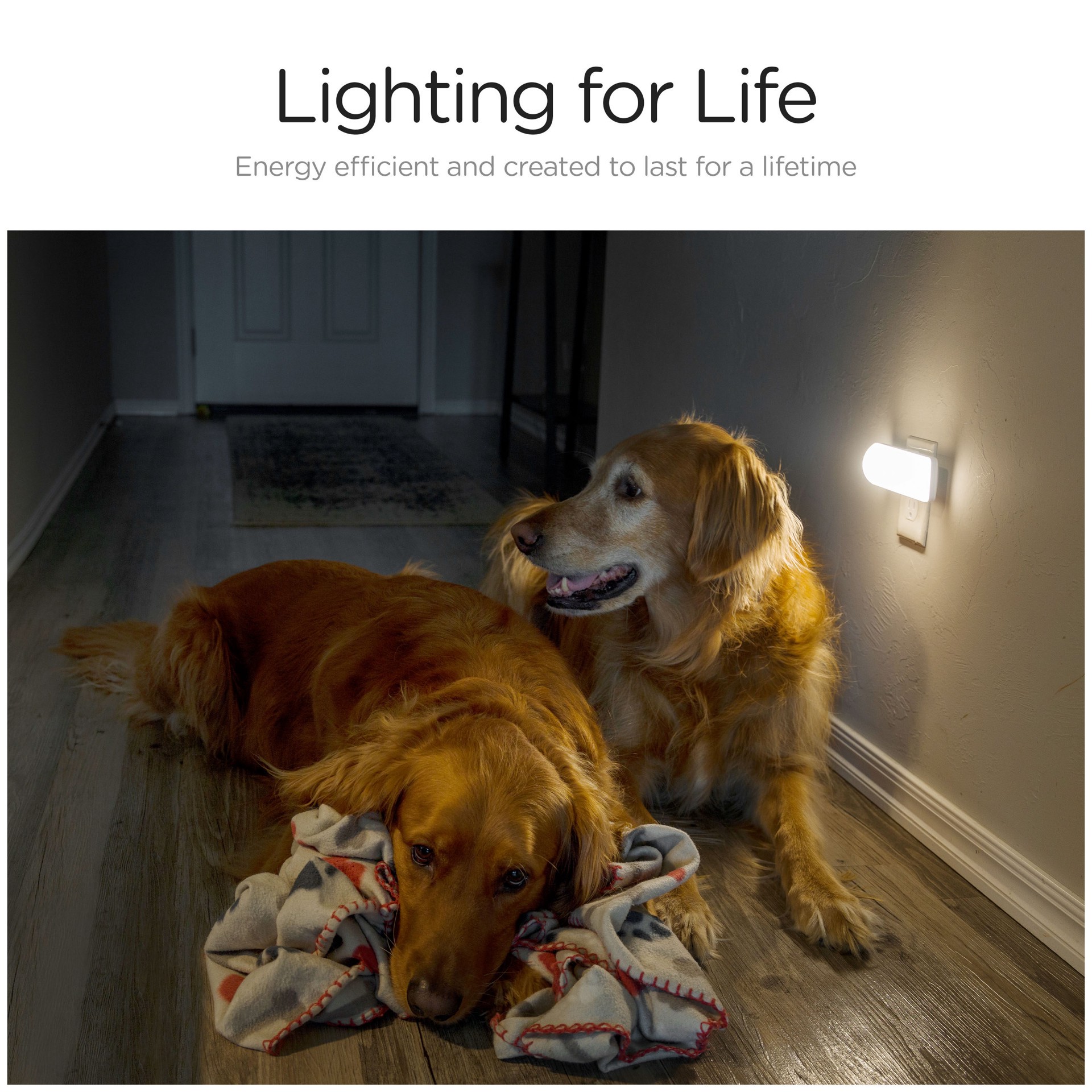 slide 3 of 6, Enbrighten 200 Lumen White LED Night Light, 1 ct