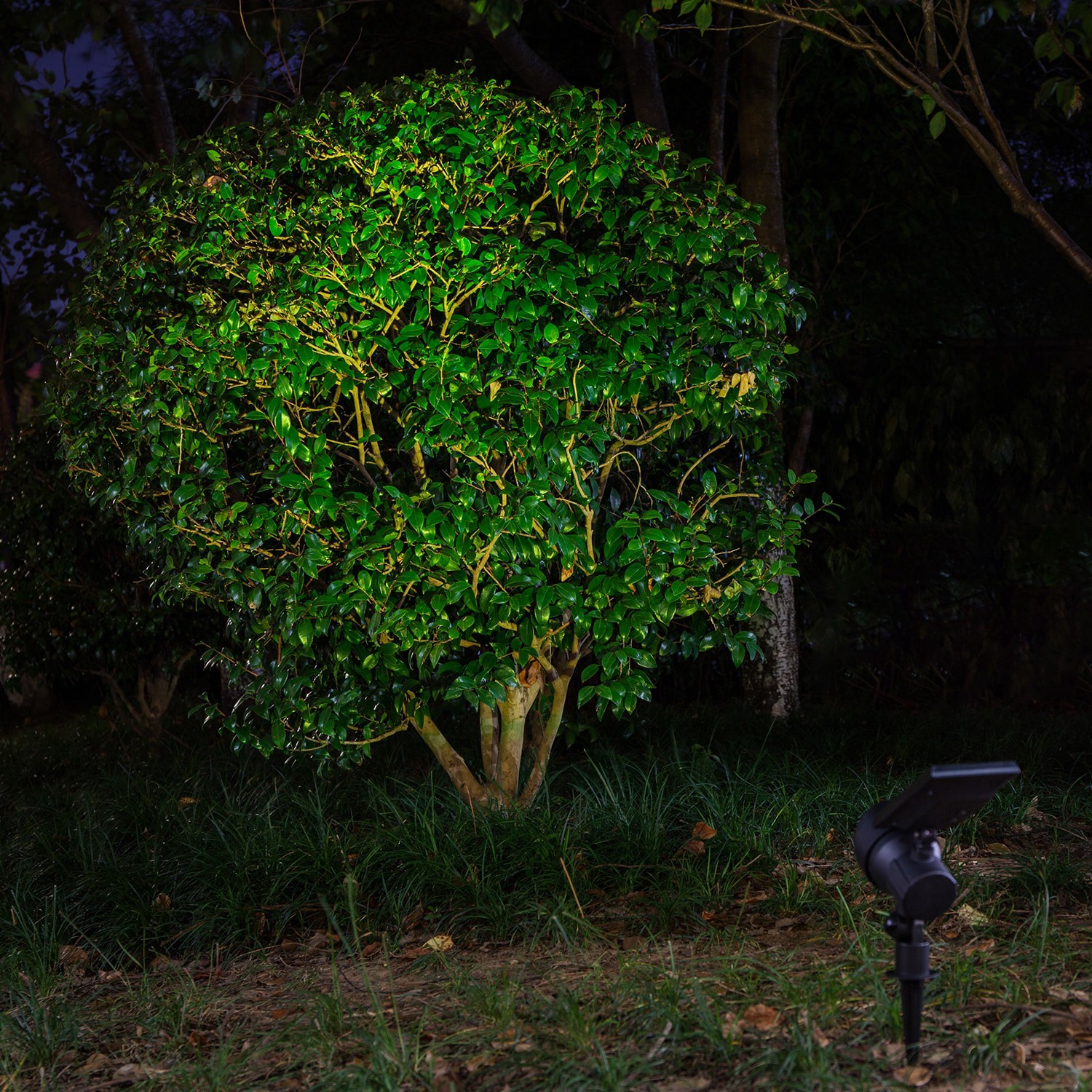 slide 2 of 6, Harbor Breeze 60LM Solar RGBW Spot Light 0.8 -Watt Black Solar LED Flood light, 1 ct