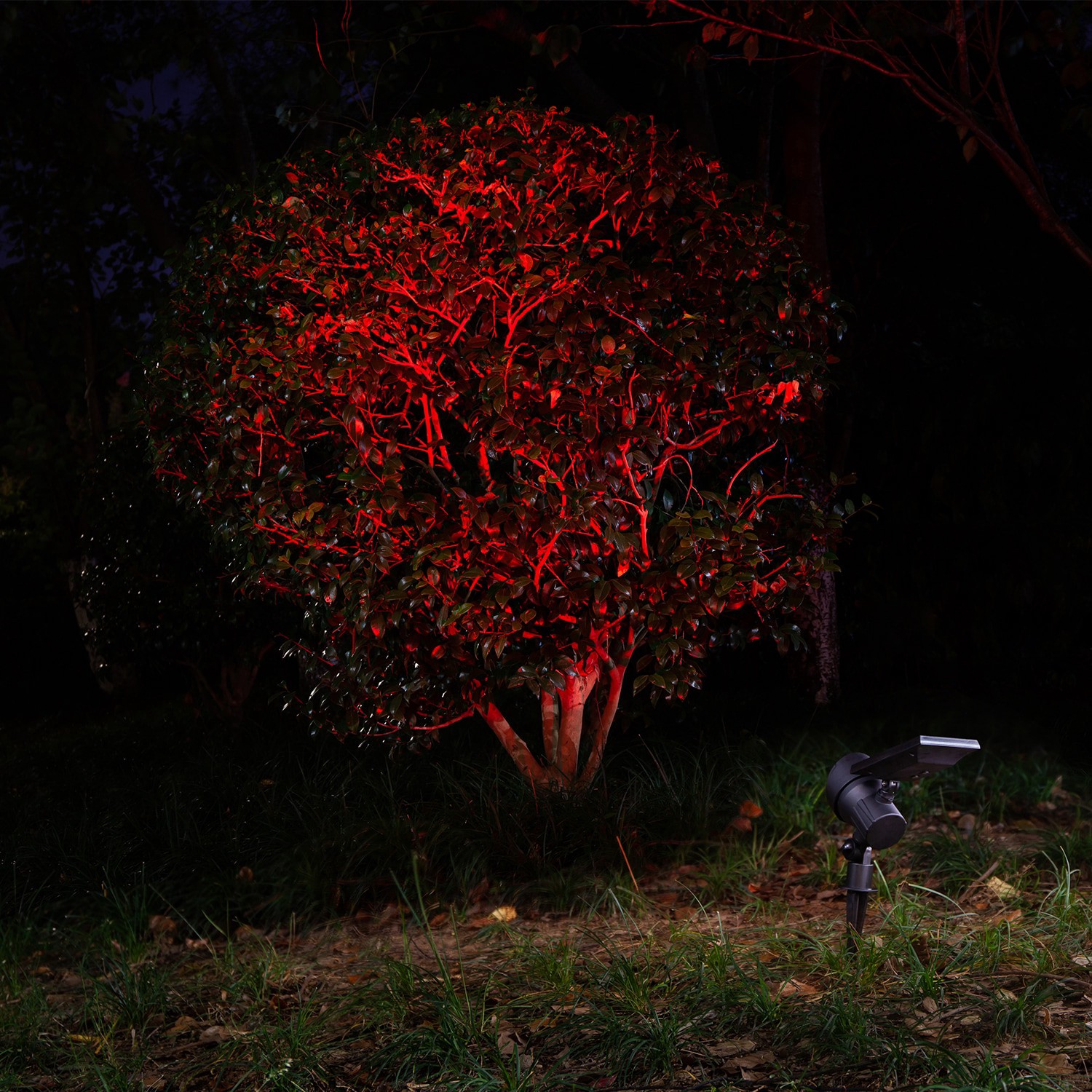 slide 3 of 6, Harbor Breeze 60LM Solar RGBW Spot Light 0.8 -Watt Black Solar LED Flood light, 1 ct