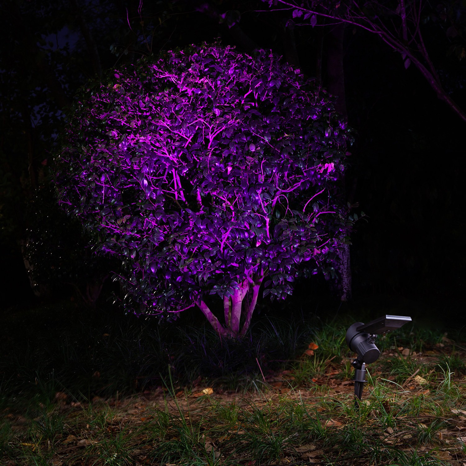 slide 4 of 6, Harbor Breeze 60LM Solar RGBW Spot Light 0.8 -Watt Black Solar LED Flood light, 1 ct