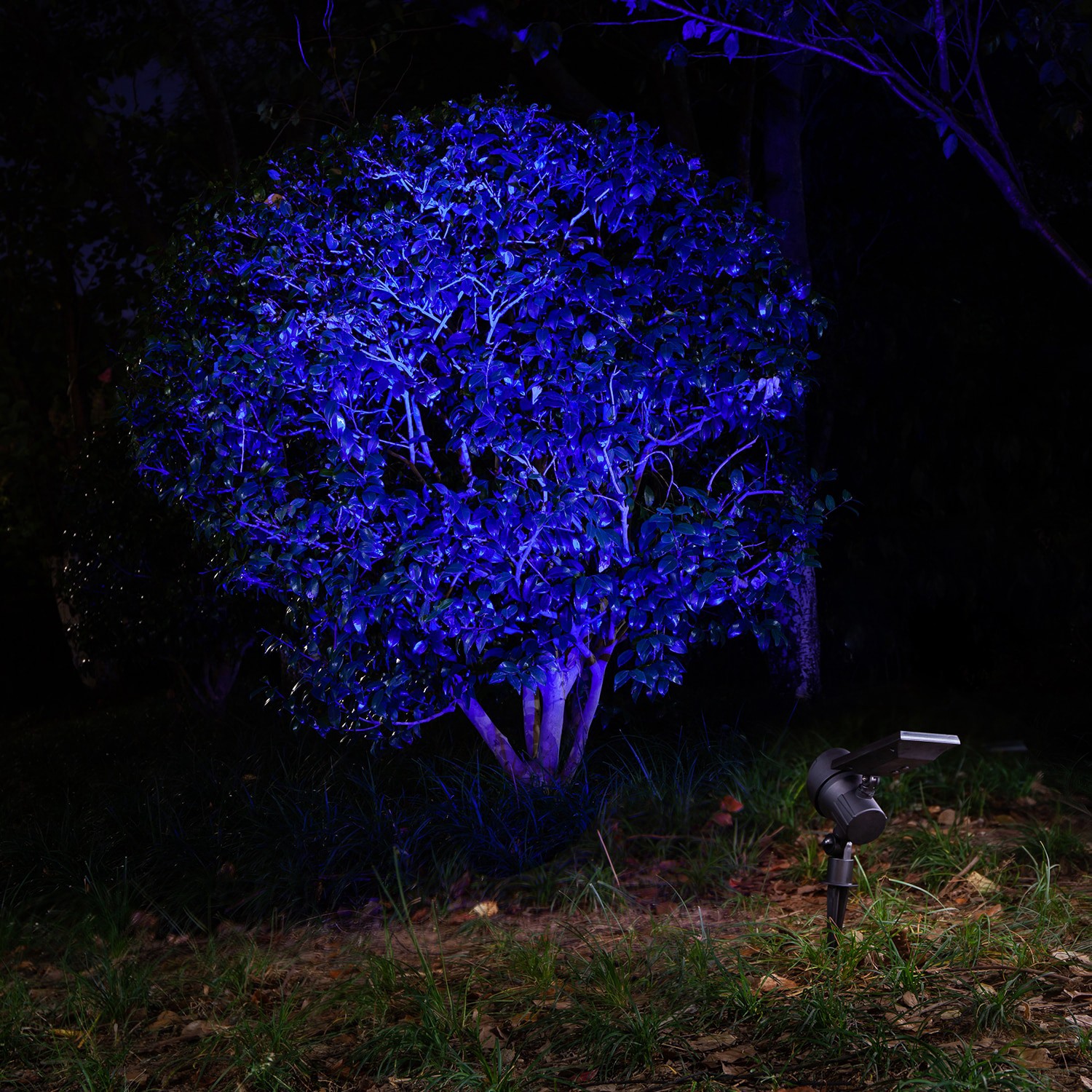 slide 6 of 6, Harbor Breeze 60LM Solar RGBW Spot Light 0.8 -Watt Black Solar LED Flood light, 1 ct