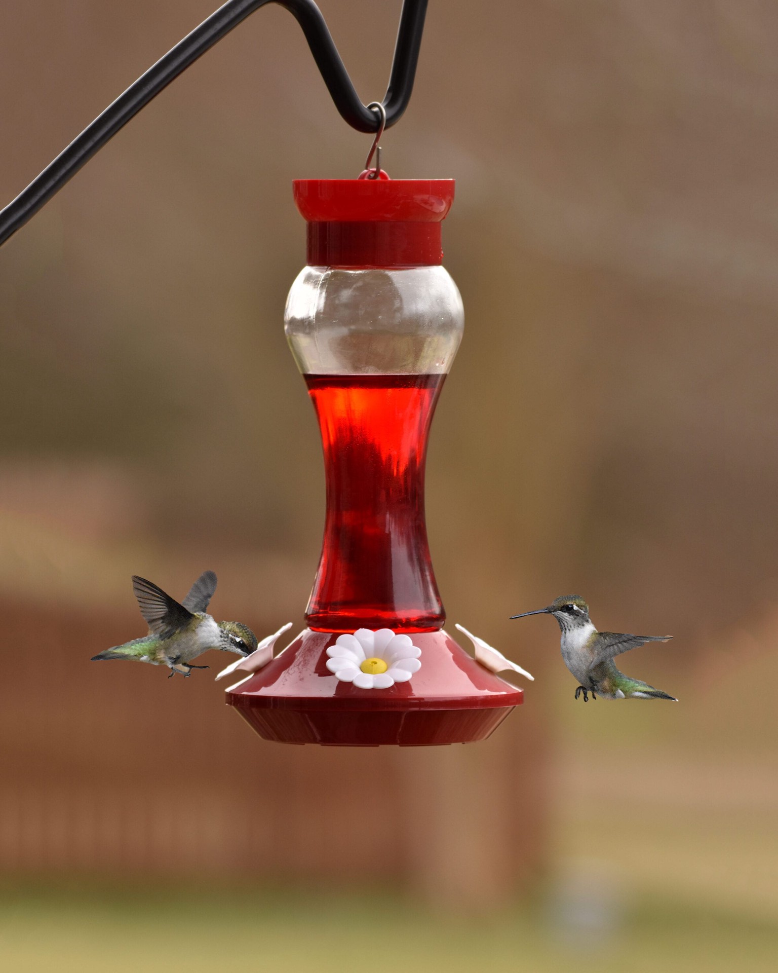 slide 2 of 5, Style Selections Glass Hanging Hummingbird Hummingbird feeder - 16-oz, 1 ct