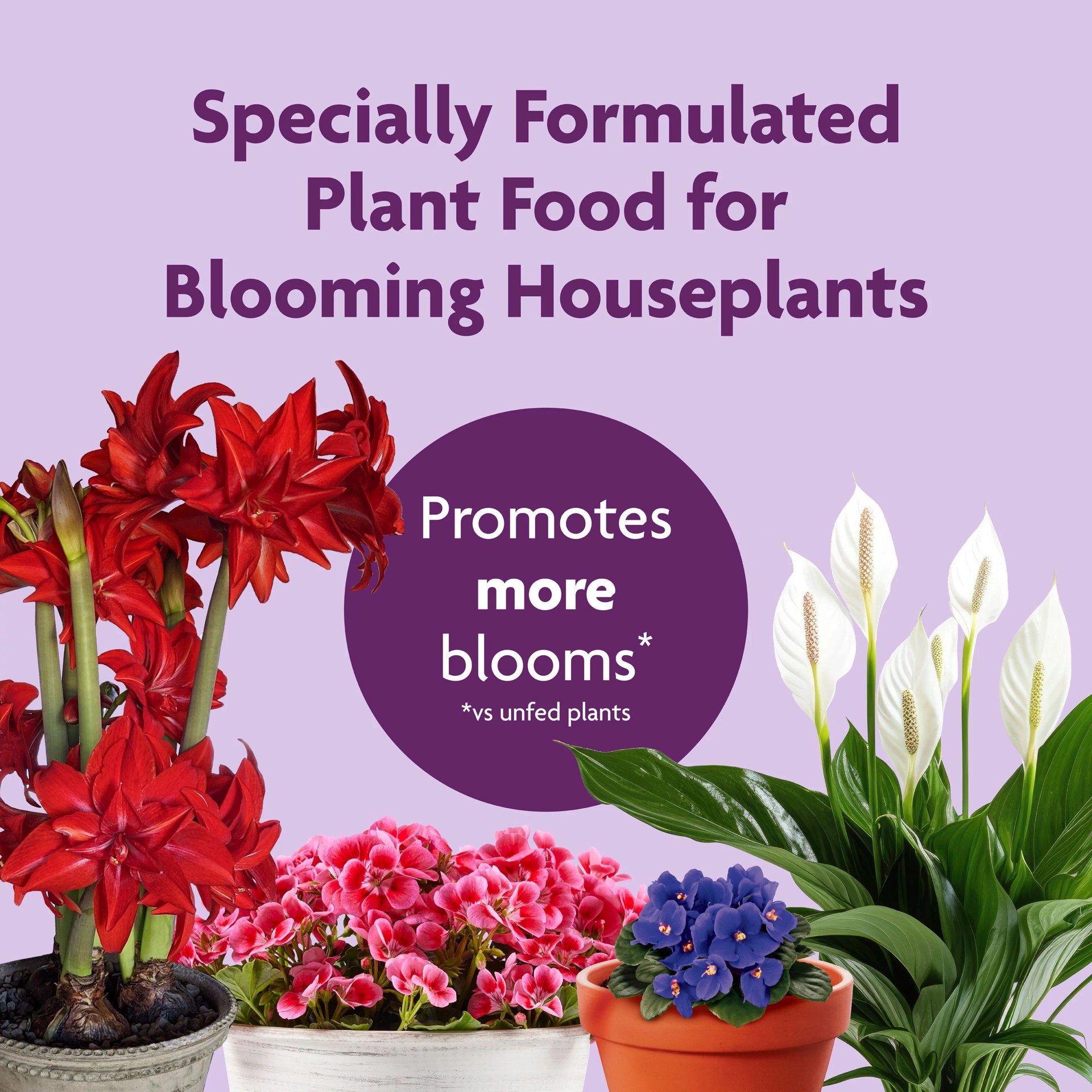 slide 4 of 6, Miracle-Gro Blooming Houseplant Food 8-fl oz 0.5-1-0.5 Flower Liquid Plant Food, 1 ct