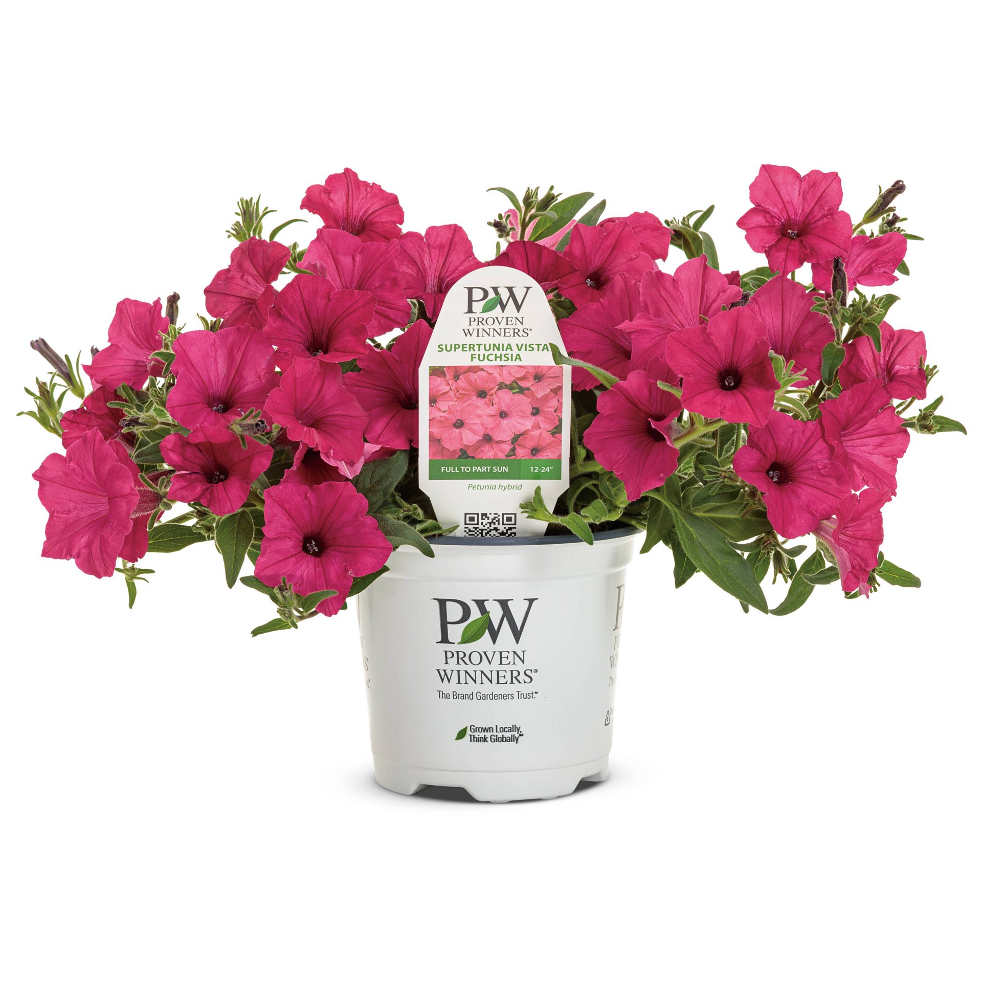 slide 1 of 4, Lowe's Pink Petunia in 1.5 Pint Pot 1 -Pack, 1 ct