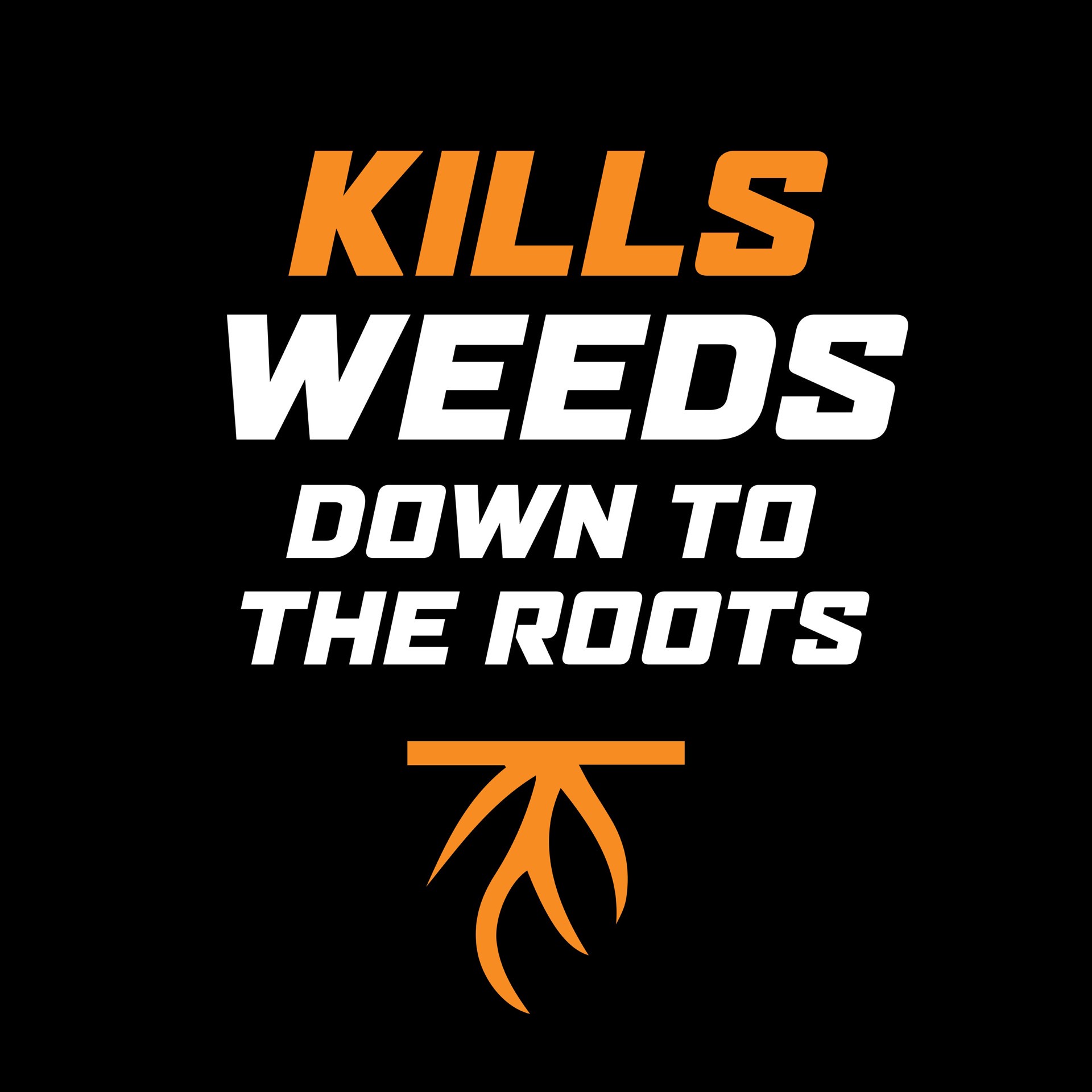 slide 2 of 6, ORTHO WeedClear 32 -fl oz Hose end sprayer Concentrate Lawn Weed Killer, 1 ct