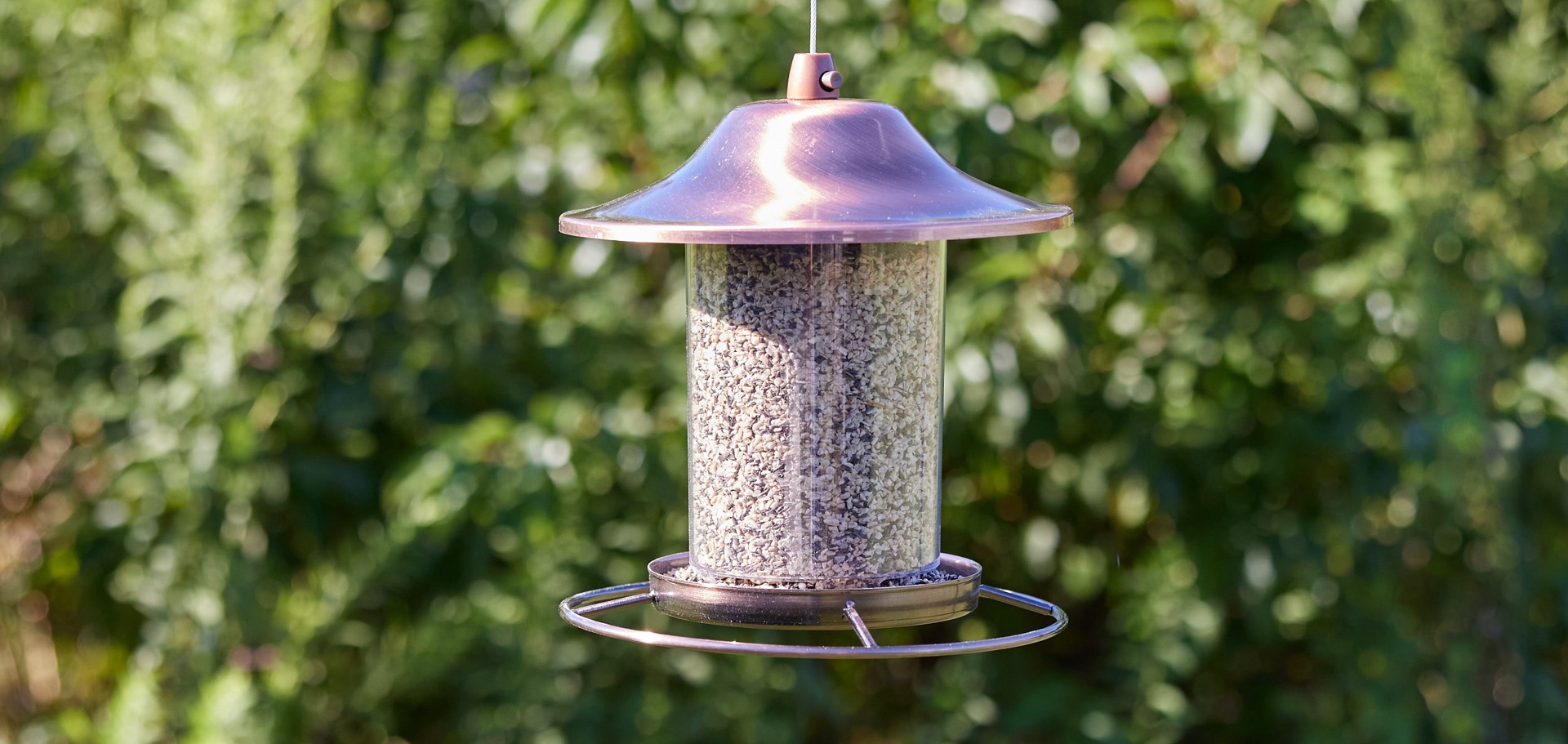 slide 4 of 6, National Audubon Society Thistle Bird food 4.5 Pound(s), 1 ct