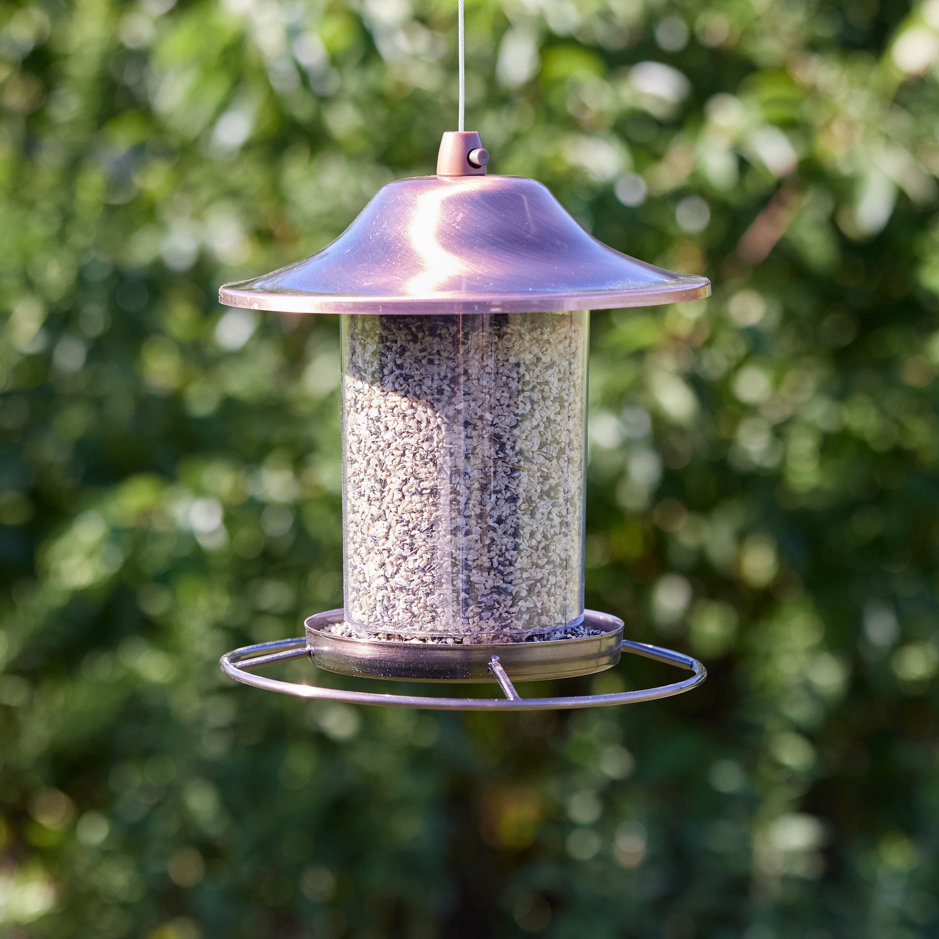 slide 5 of 6, National Audubon Society Thistle Bird food 4.5 Pound(s), 1 ct