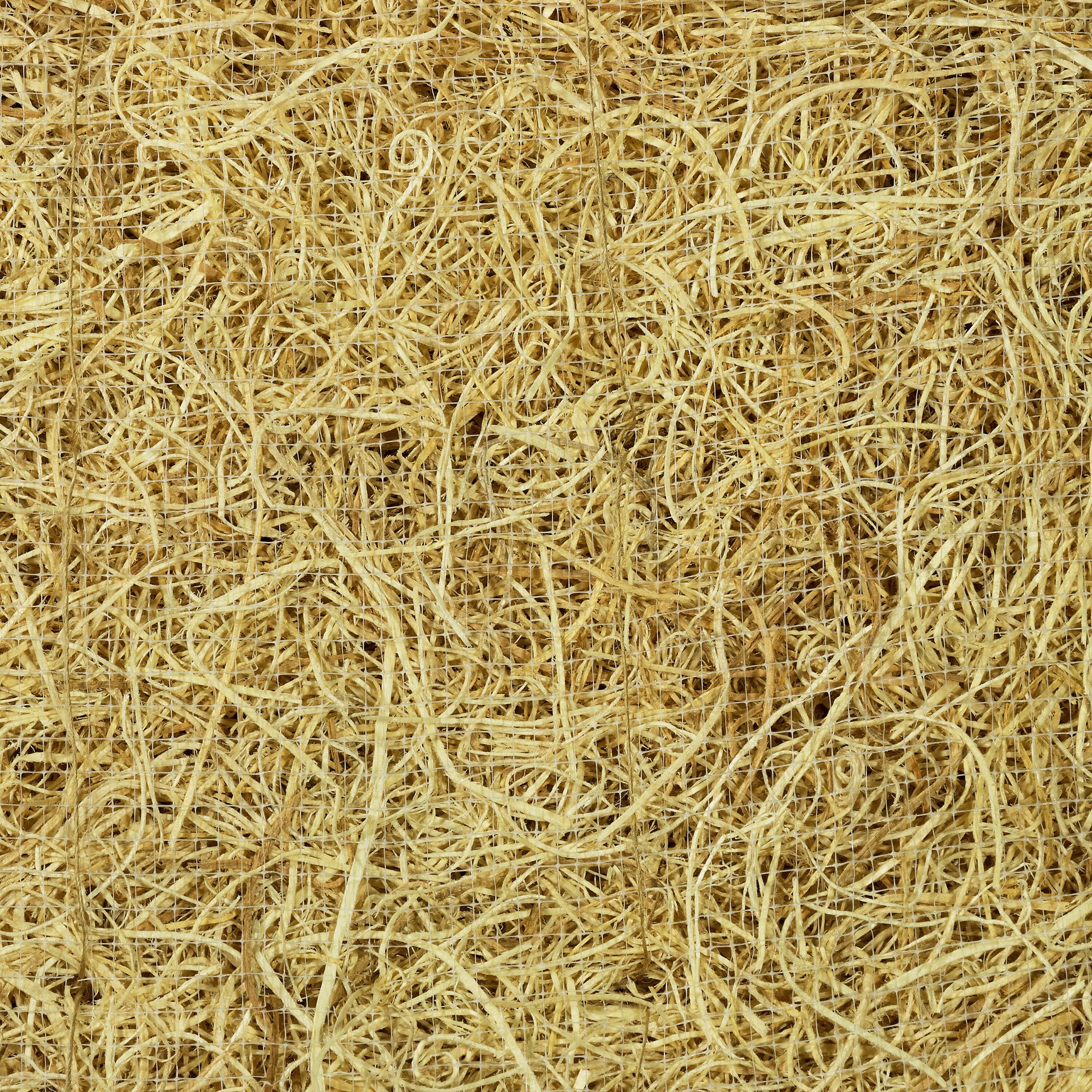 slide 2 of 5, CHAMPION 40-in x 0.5-in x 24-in Aspen Wood Evaporative Cooler Replacement pad, 1 ct