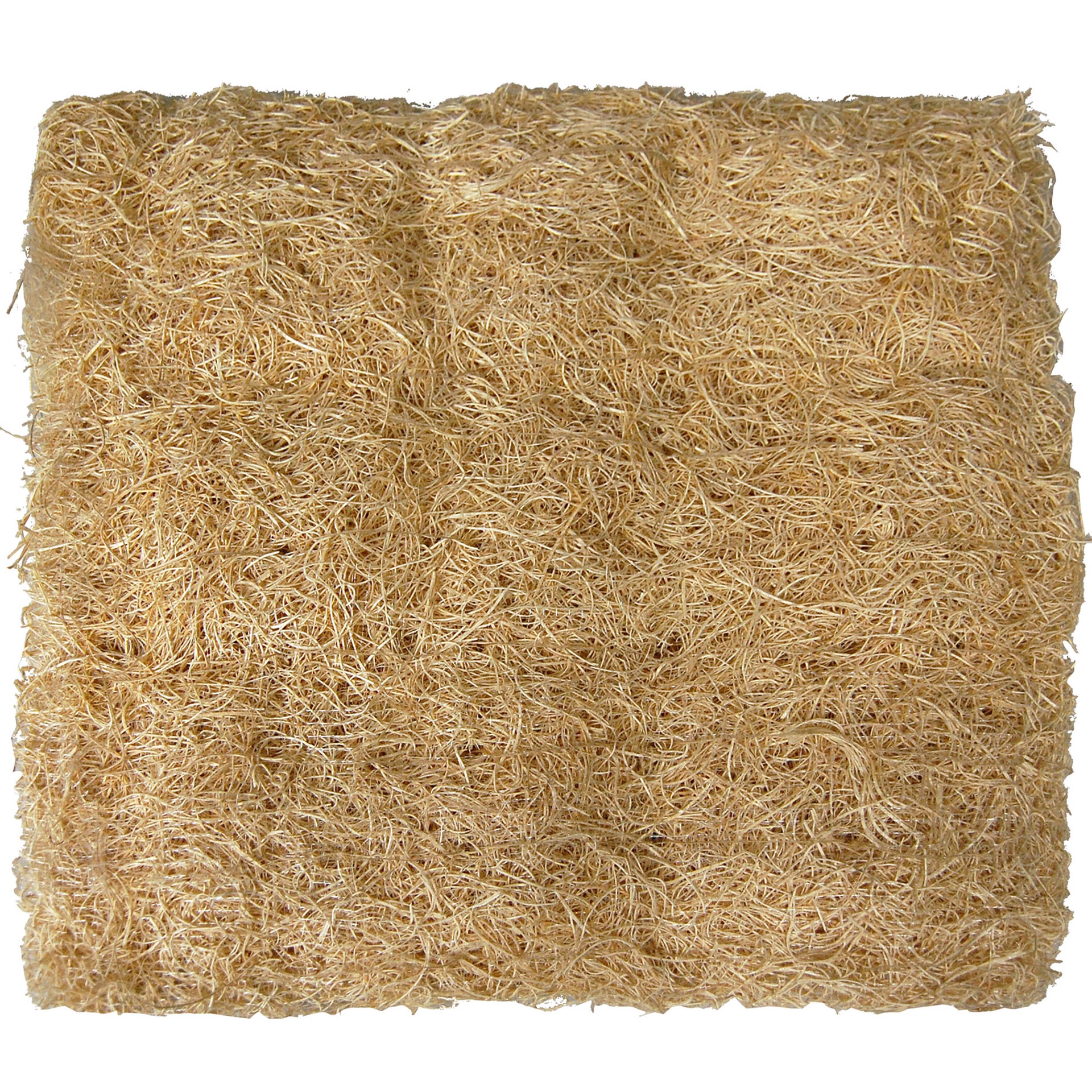 slide 5 of 5, CHAMPION 40-in x 0.5-in x 24-in Aspen Wood Evaporative Cooler Replacement pad, 1 ct