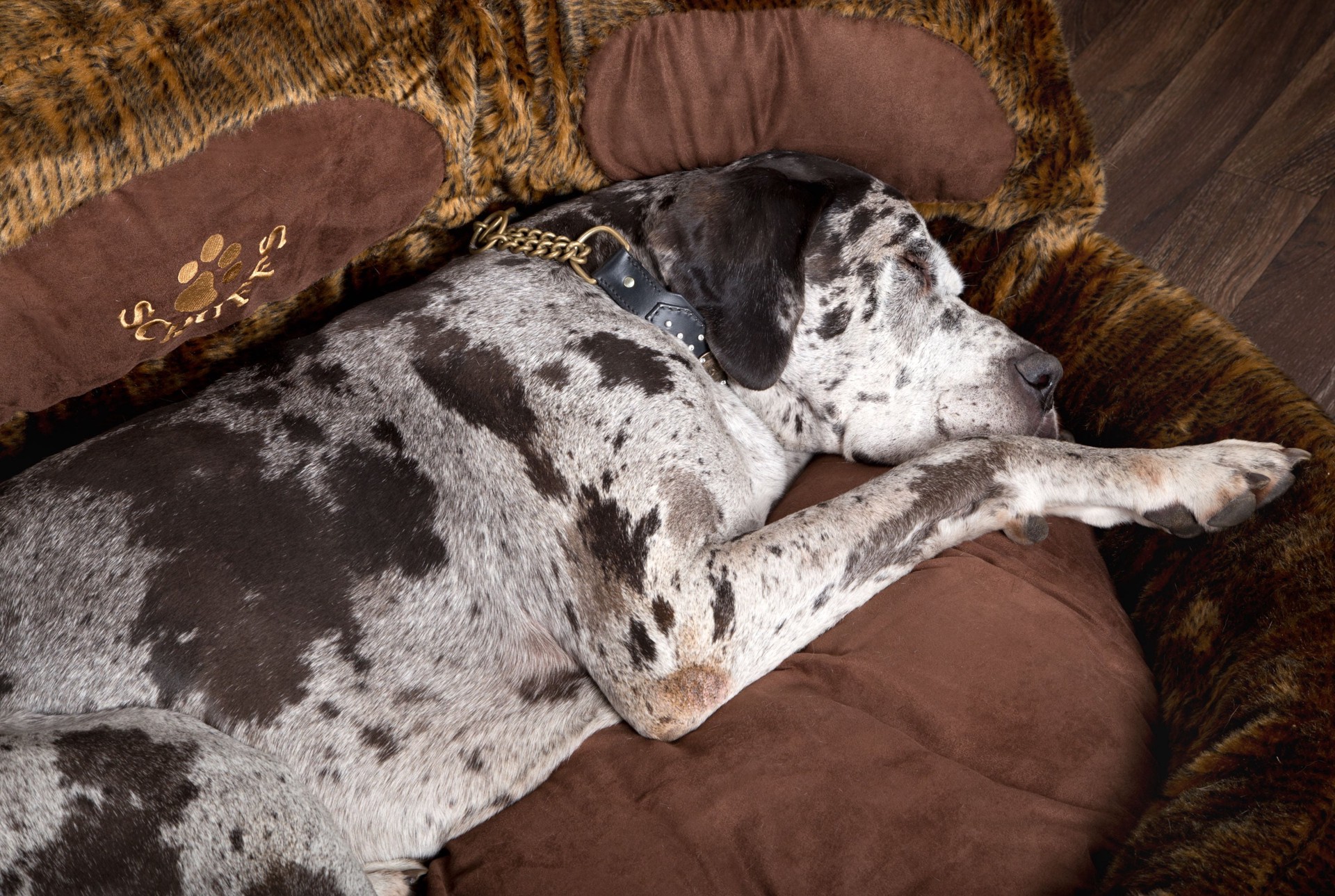 slide 2 of 6, allen + roth Locking Bamboo Hardwood Flooring Rustic Brown Bamboo 3/8-in T x 5-1/8-in W Handscraped Engineered Hardwood Flooring ( 20.49-sq ft / Carton ), 1 ct